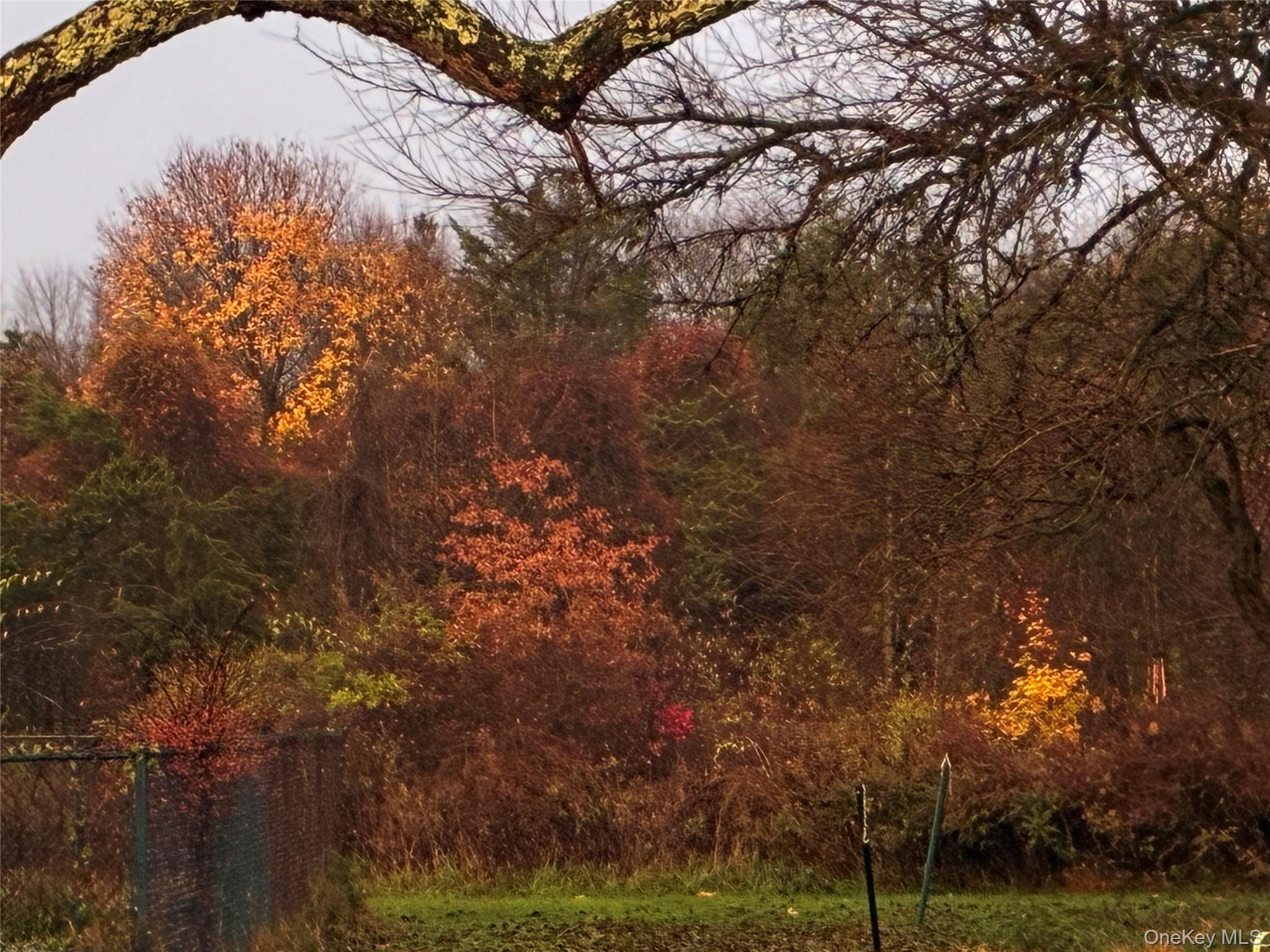 #8 photo, 14 Harrigan Road, Hopewell Junction , NY 12533