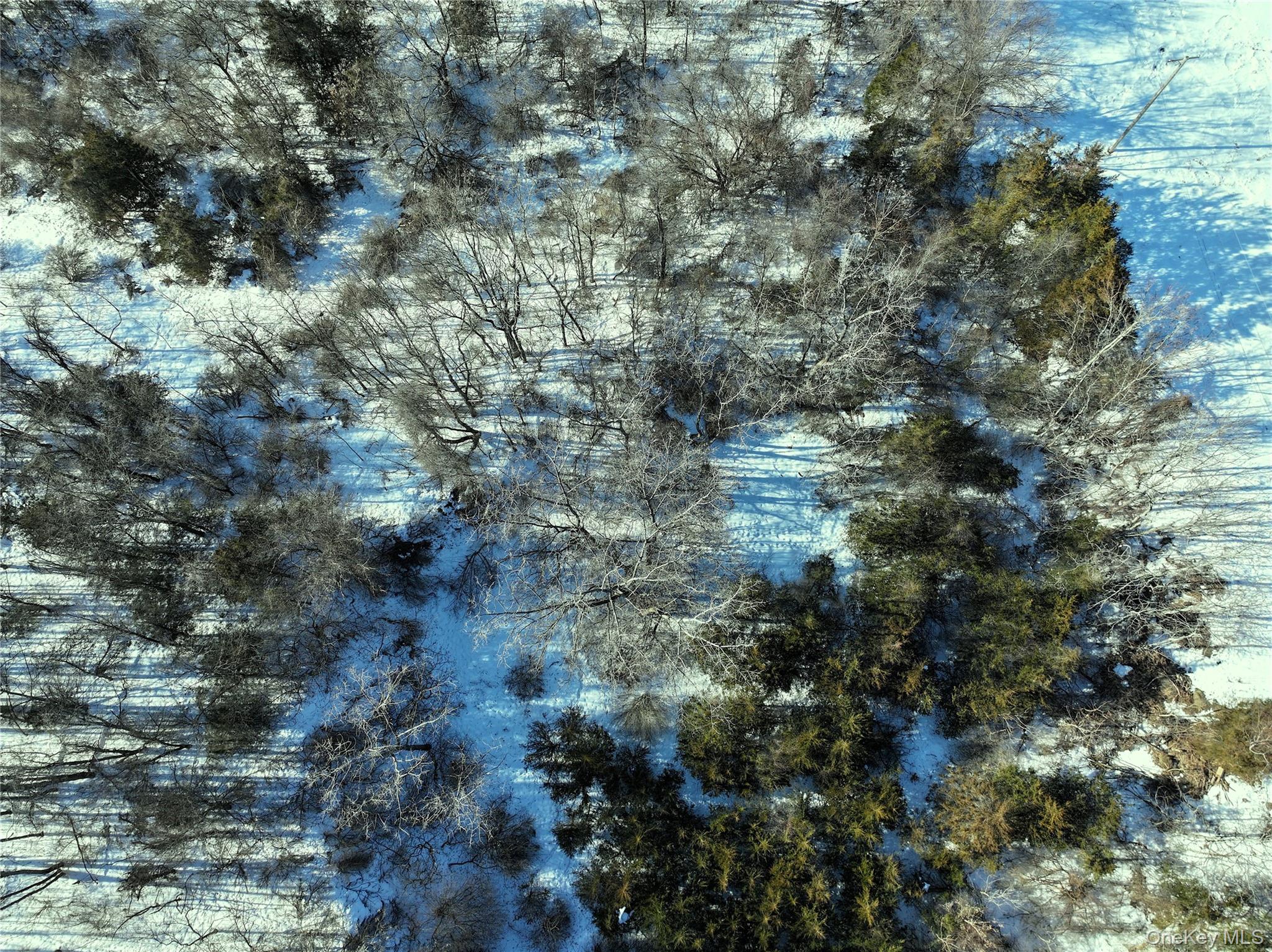 #10 photo, Bells Pond Road, 뉴욕주 Hudson , NY 12541