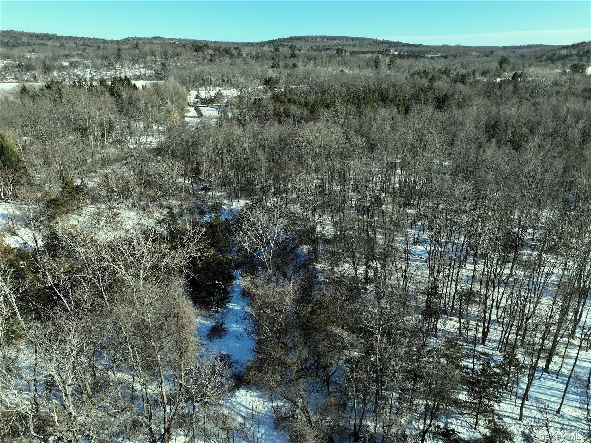 #11 photo, Bells Pond Road, 뉴욕주 Hudson , NY 12541