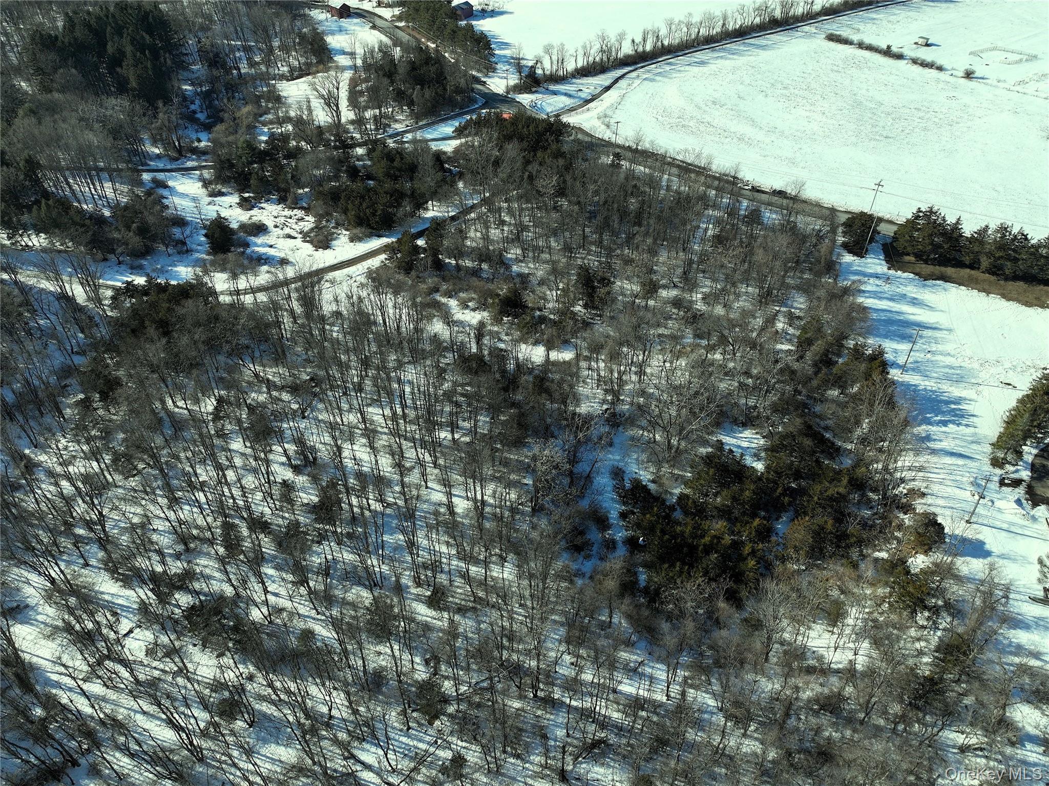 #3 photo, Bells Pond Road, 뉴욕주 Hudson , NY 12541