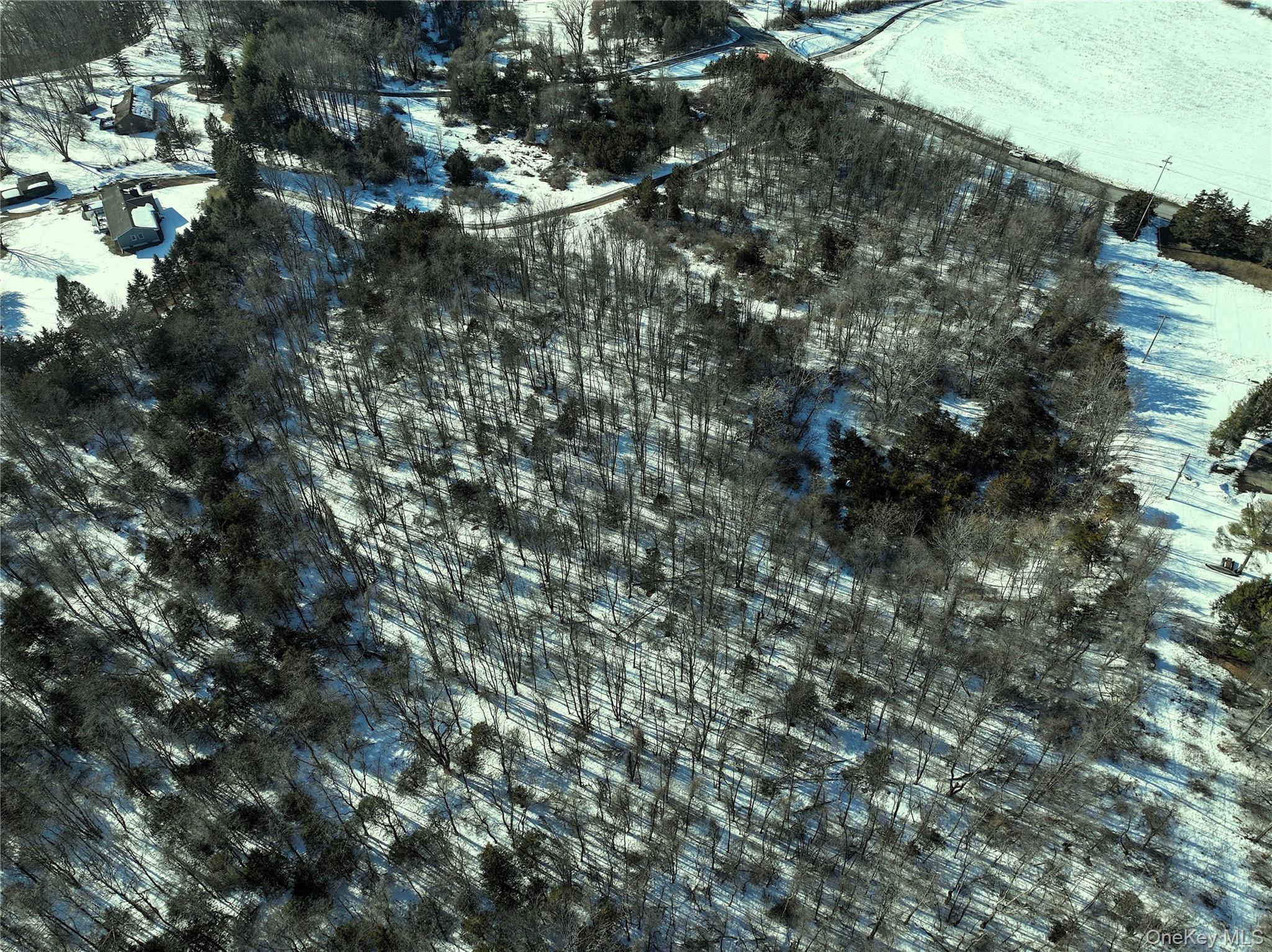 #4 photo, Bells Pond Road, 뉴욕주 Hudson , NY 12541