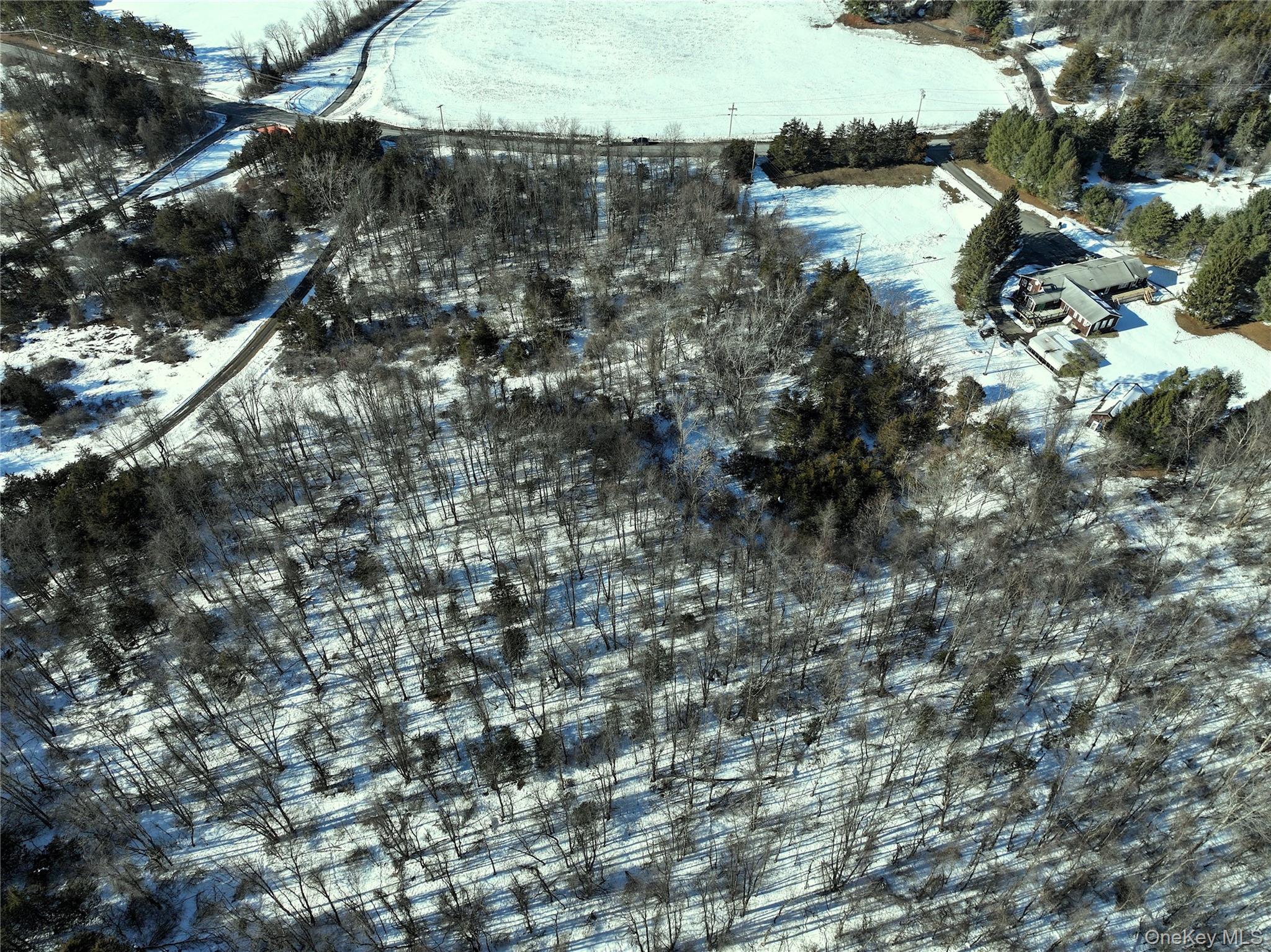 #5 photo, Bells Pond Road, 뉴욕주 Hudson , NY 12541