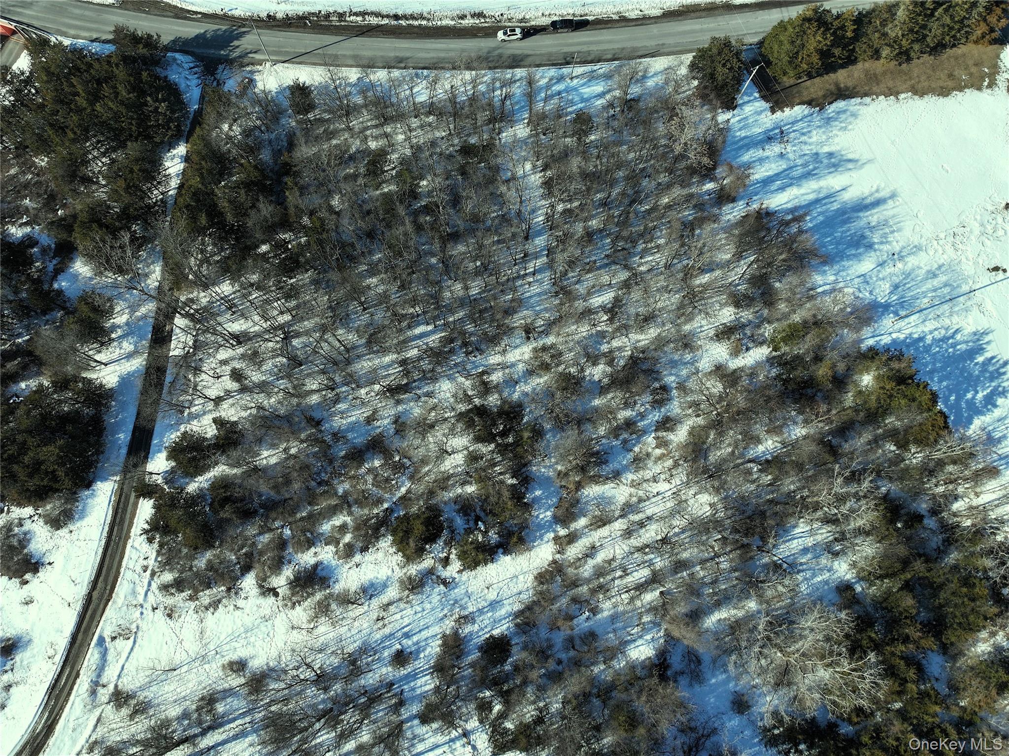 #7 photo, Bells Pond Road, 뉴욕주 Hudson , NY 12541