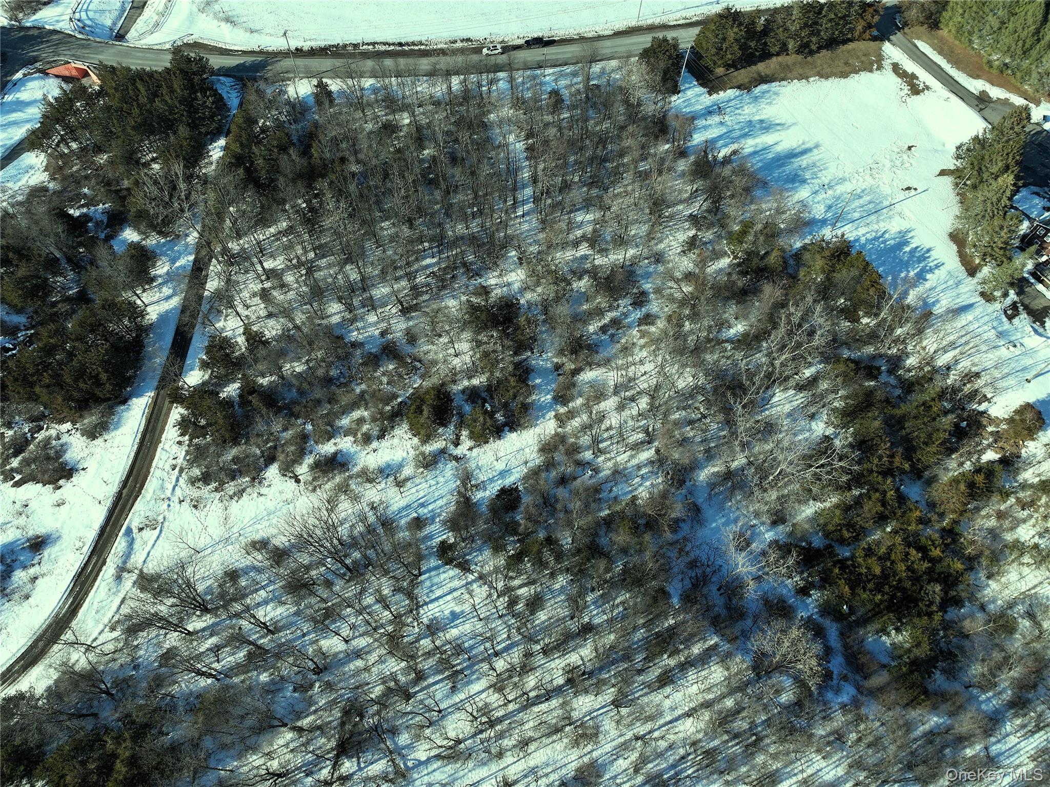 #8 photo, Bells Pond Road, 뉴욕주 Hudson , NY 12541