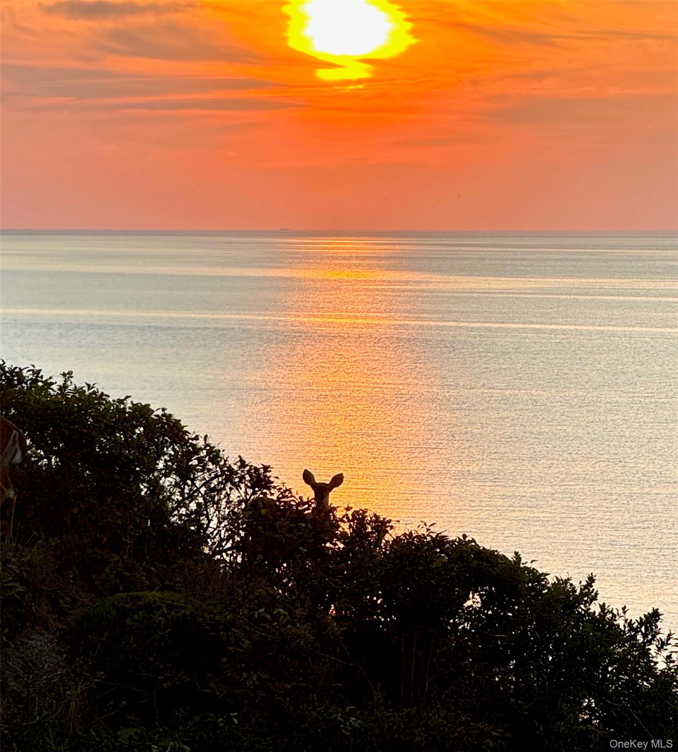 #3 photo, 312 Fox Hill Drive, מחוז סאפוק Baiting Hollow , NY 11933