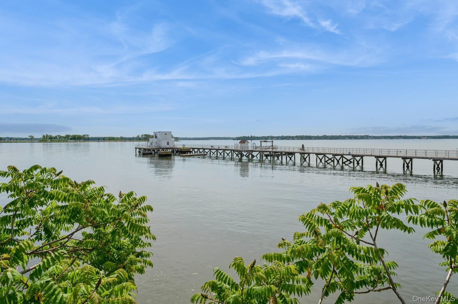 #20 photo, 13 Island Point, הברונקס Bronx , NY 10464