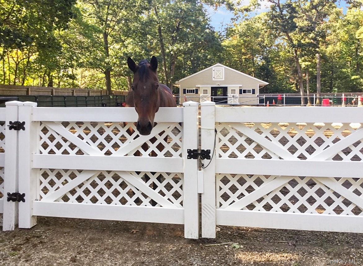 #2 photo, 14 Hillside Avenue, Saint James , NY 11780