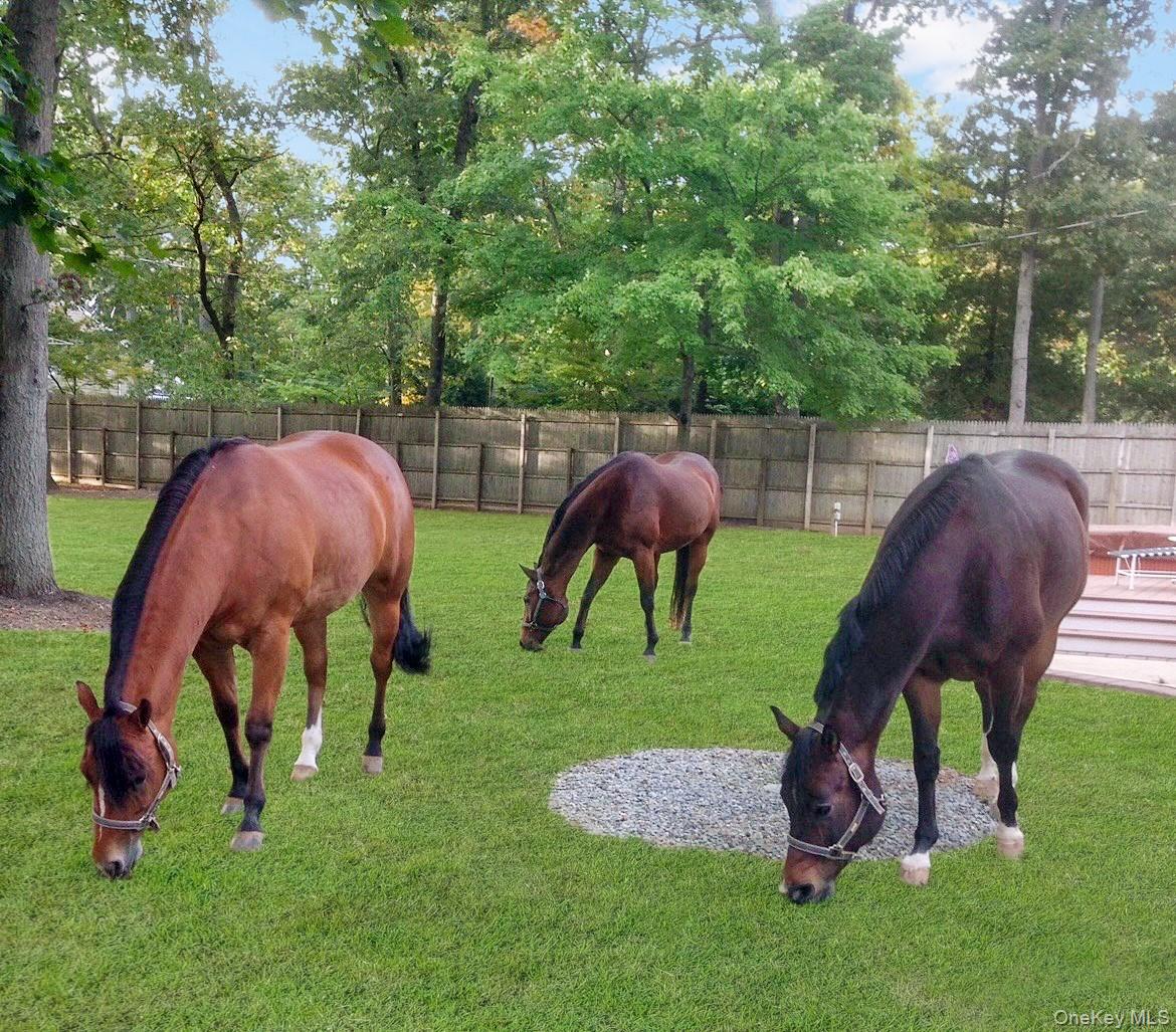 #3 photo, 14 Hillside Avenue, Saint James , NY 11780