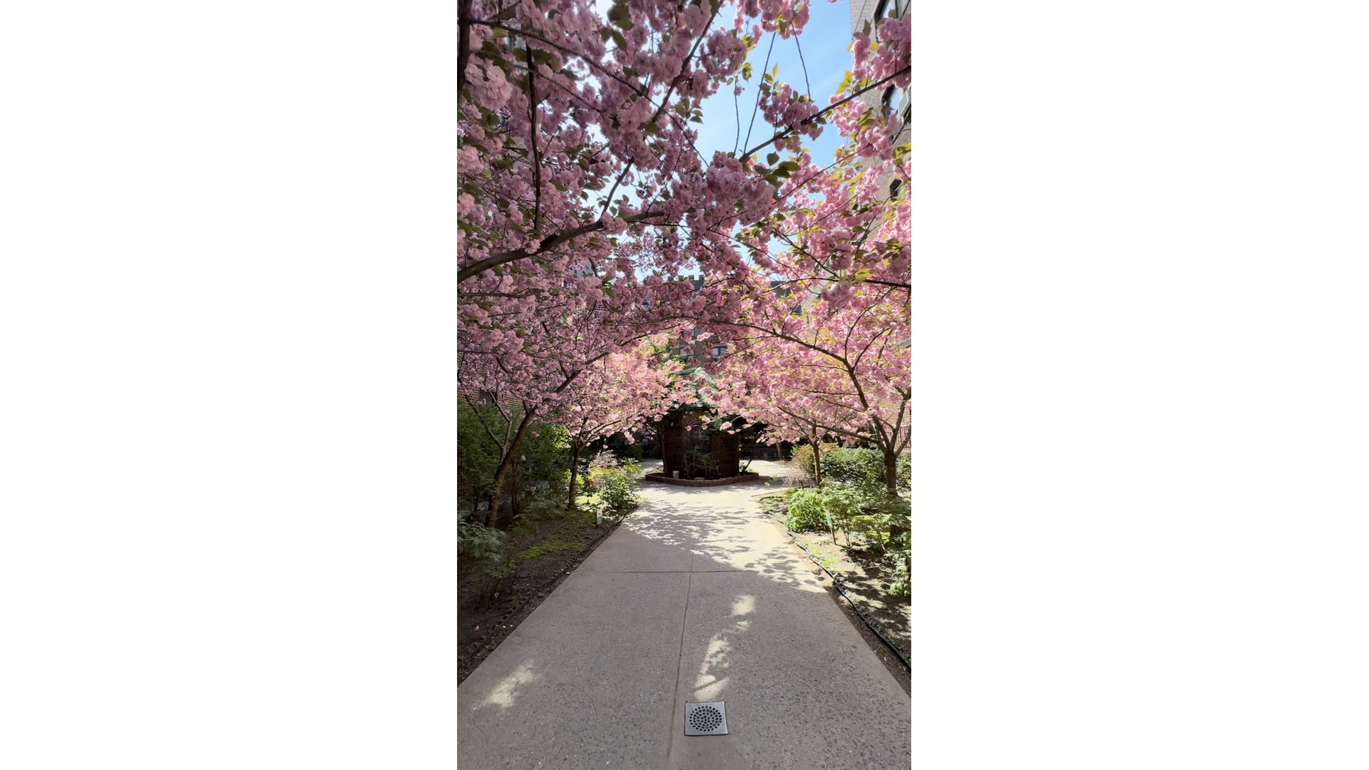 #20 photo, 42-20 Kissena Boulevard, Flushing , NY 11355