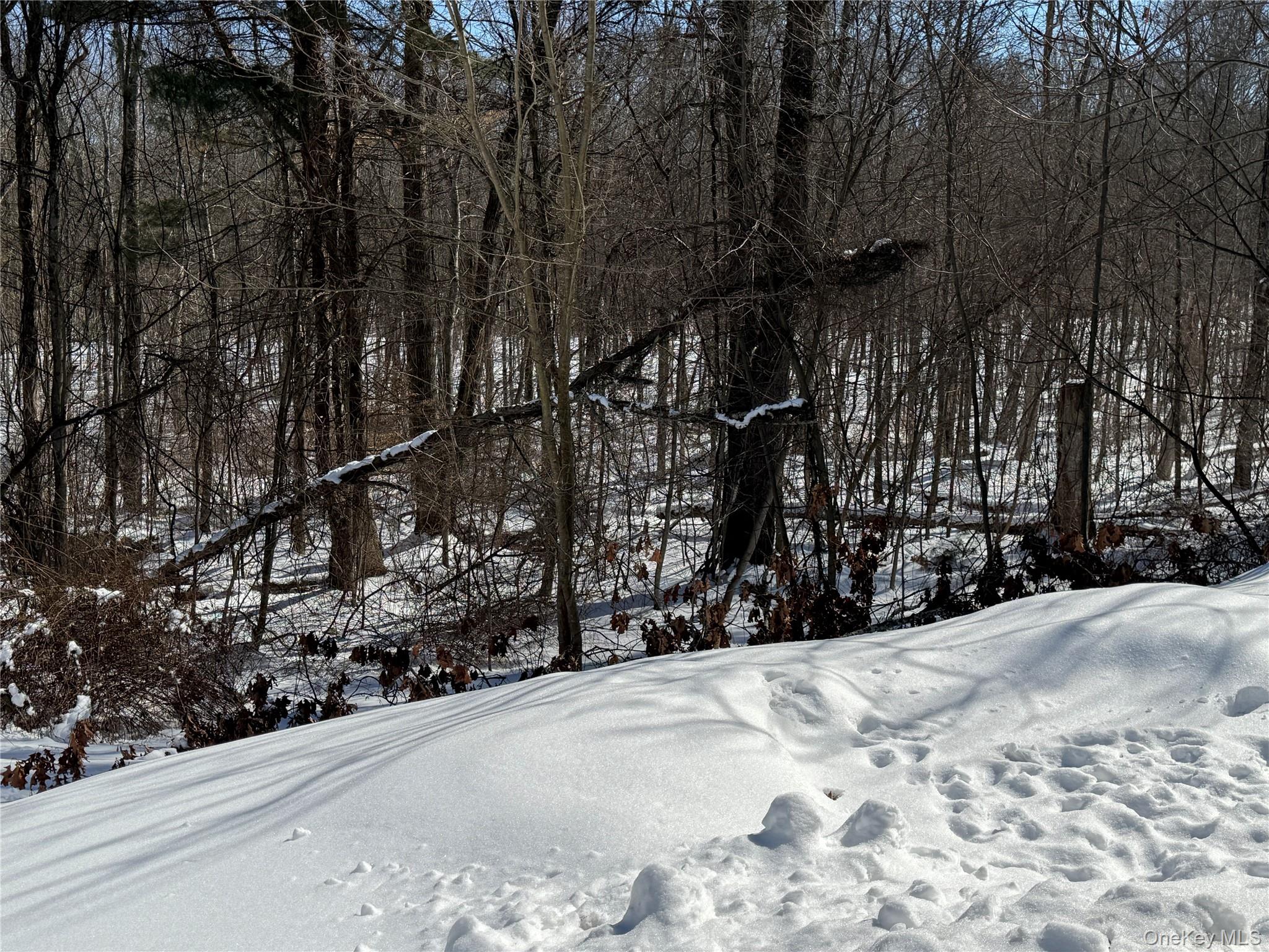 #18 photo, 379 Ellen (aka Forest Park) Street, Wallkill , NY 12589