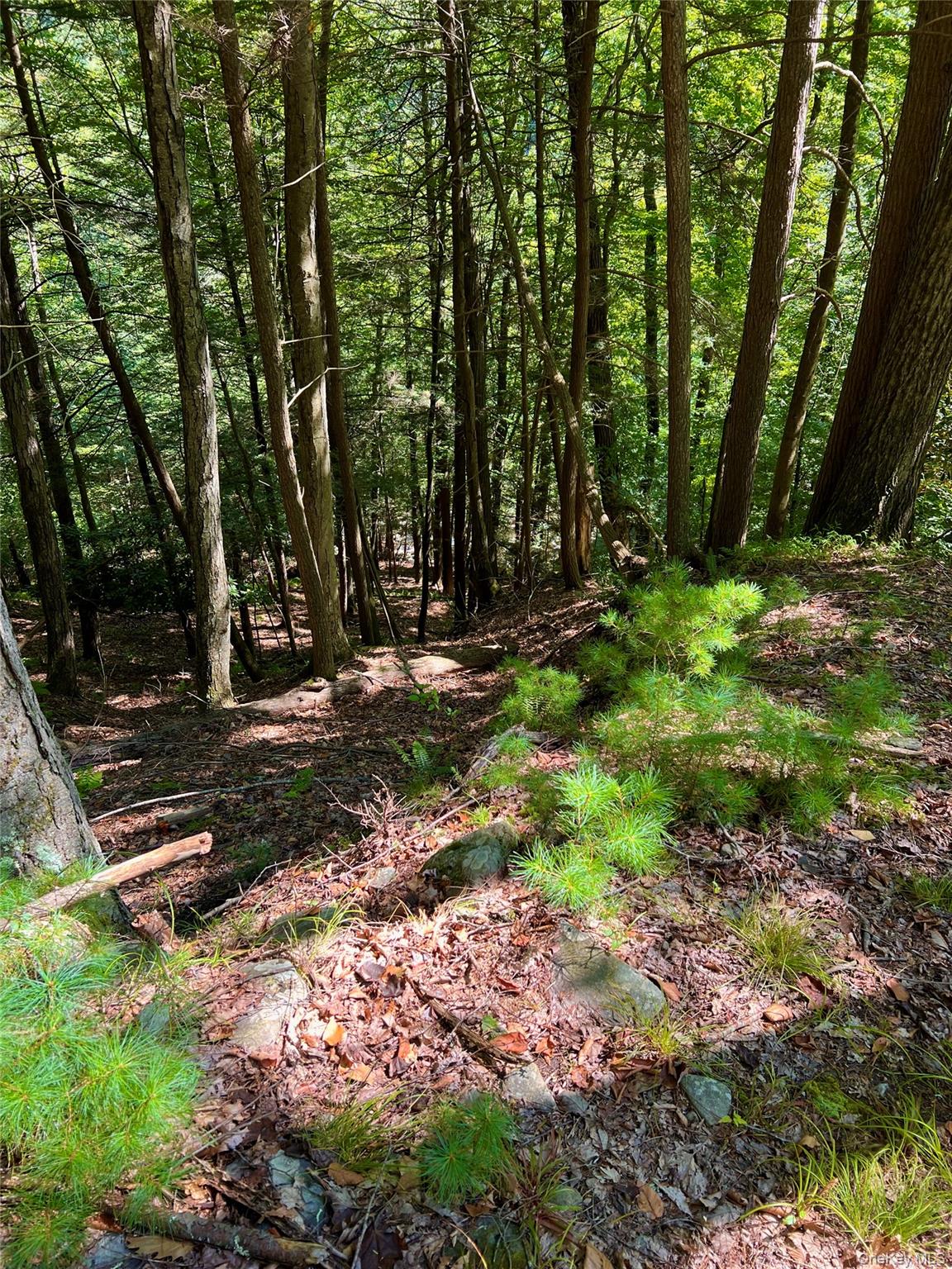 #10 photo, Swanerbury Road, Lumberland , NY 12737