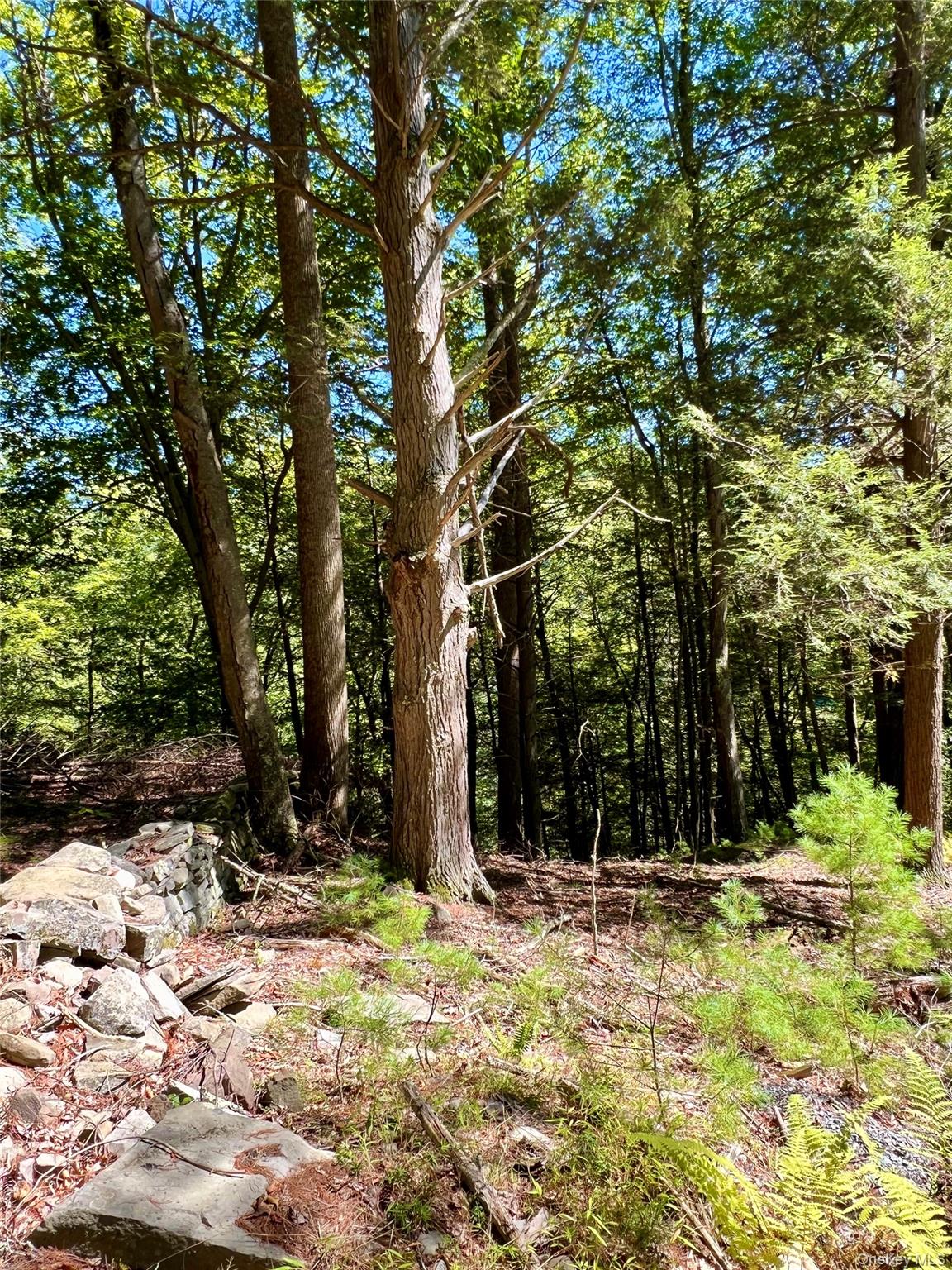 #11 photo, Swanerbury Road, Lumberland , NY 12737