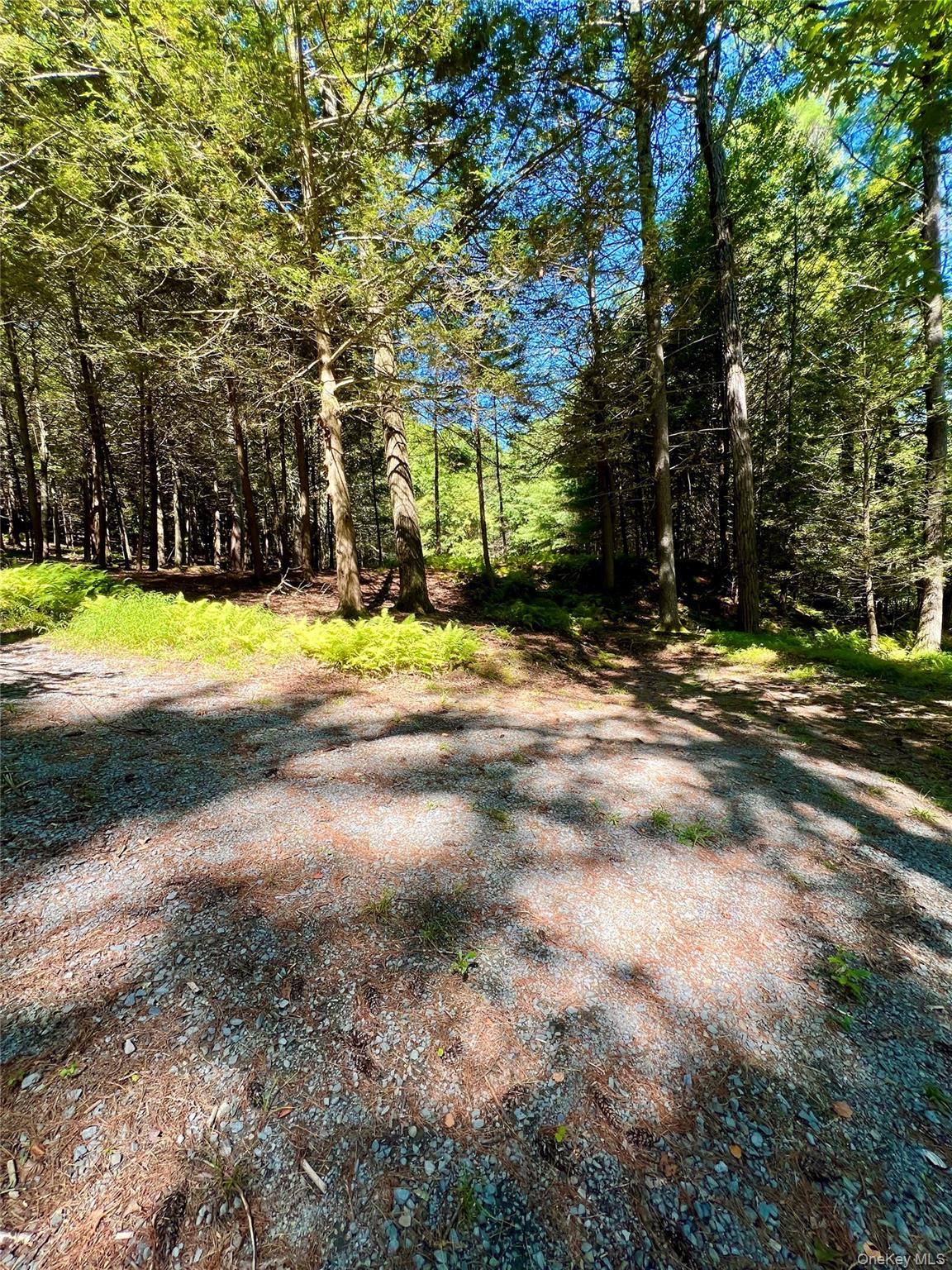 #12 photo, Swanerbury Road, Lumberland , NY 12737