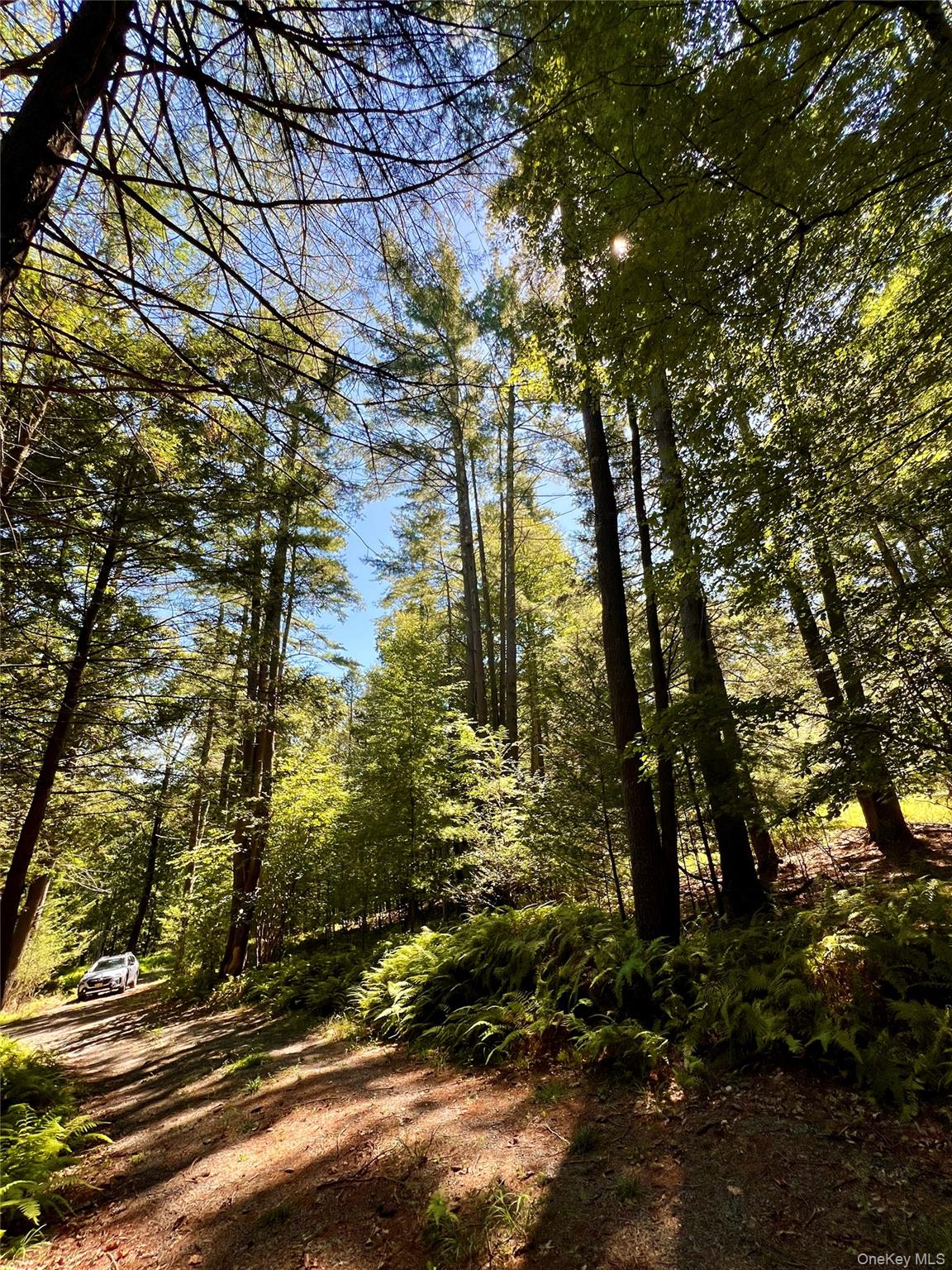 #14 photo, Swanerbury Road, Lumberland , NY 12737