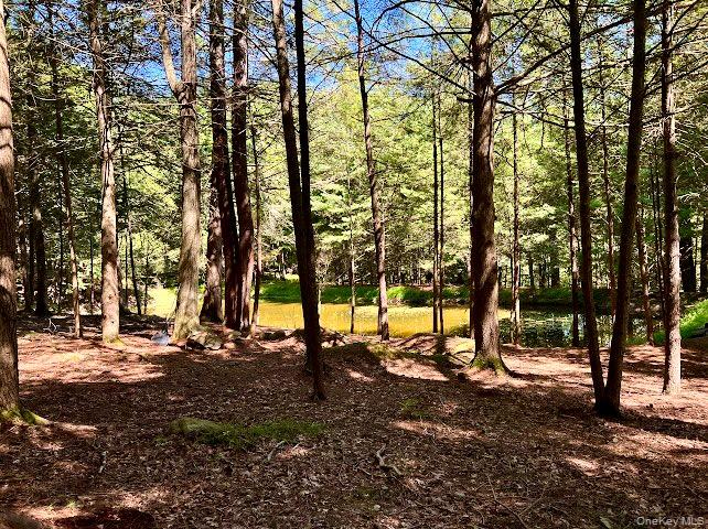 #15 photo, Swanerbury Road, Lumberland , NY 12737