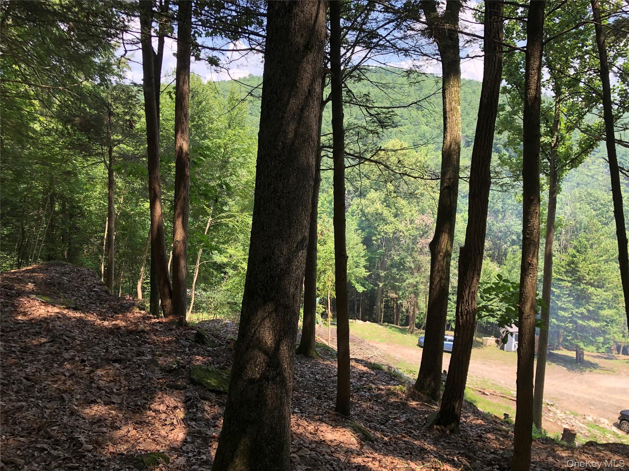 #17 photo, Swanerbury Road, Lumberland , NY 12737