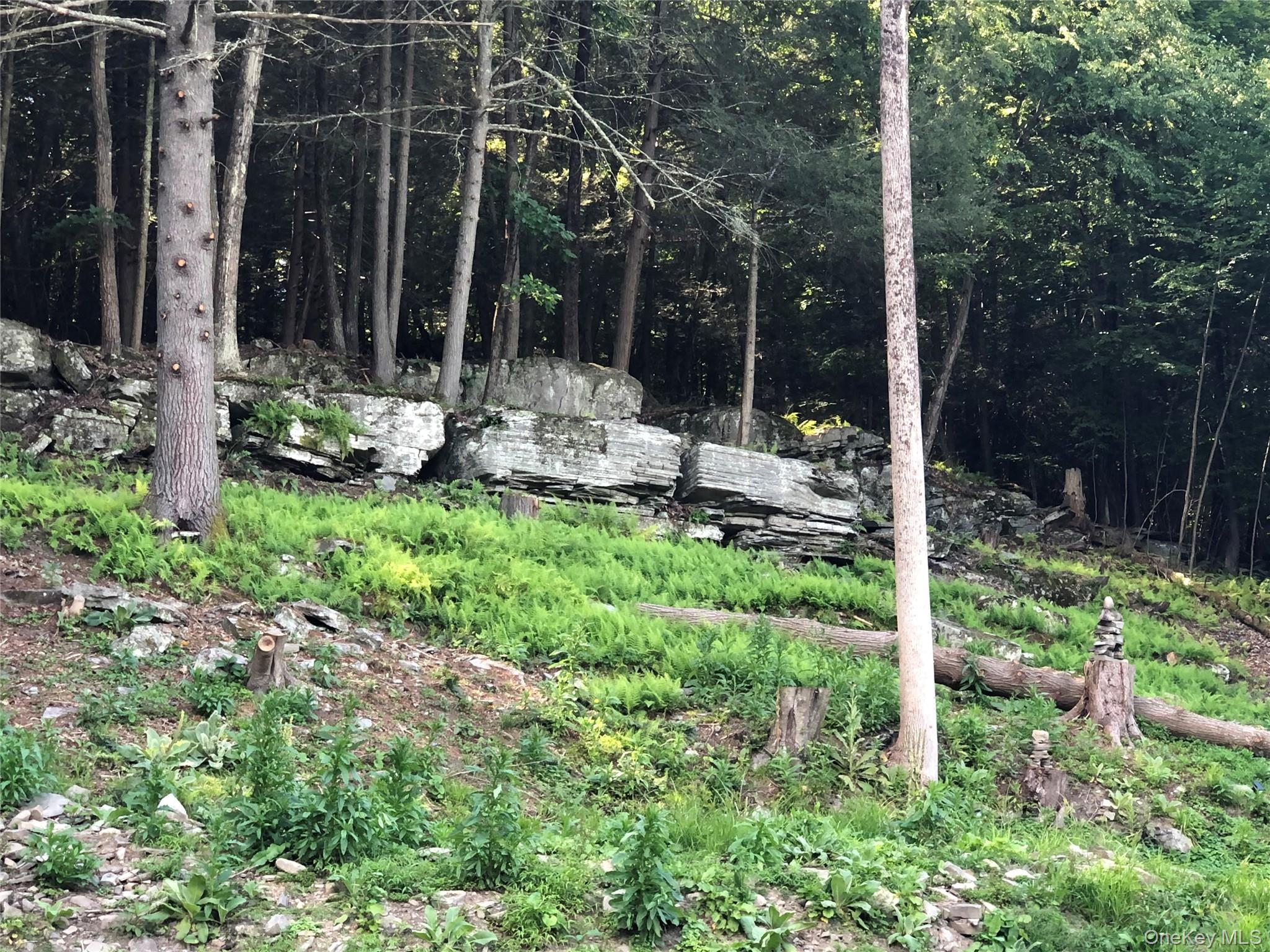 #19 photo, Swanerbury Road, Lumberland , NY 12737