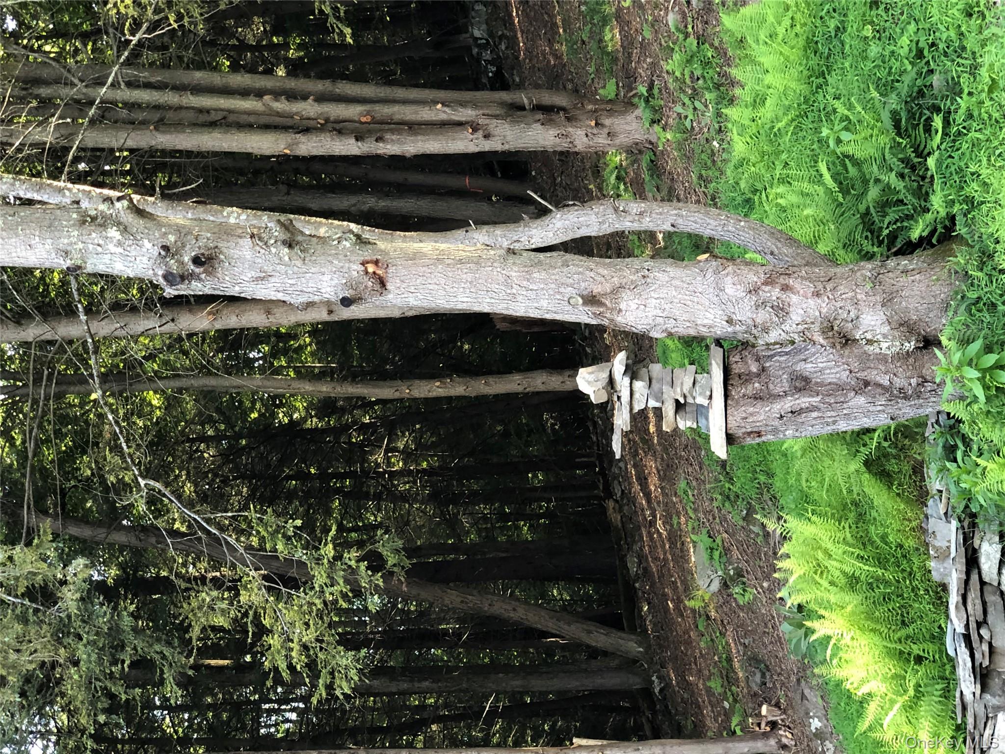 #20 photo, Swanerbury Road, Lumberland , NY 12737