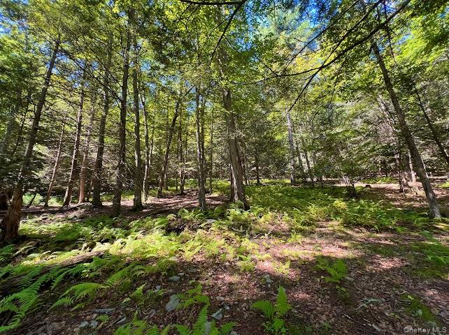 #4 photo, Swanerbury Road, Lumberland , NY 12737