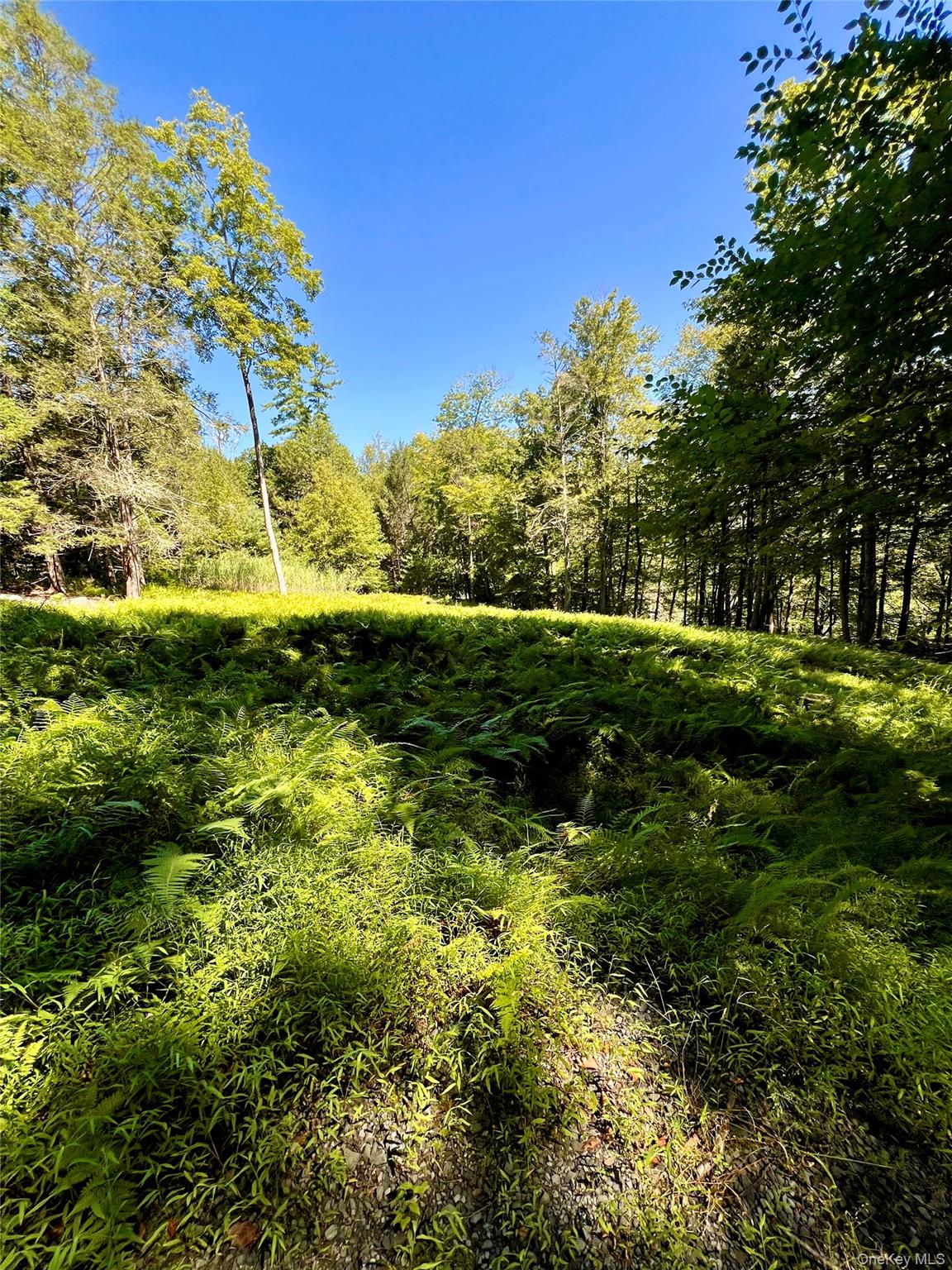 #6 photo, Swanerbury Road, Lumberland , NY 12737