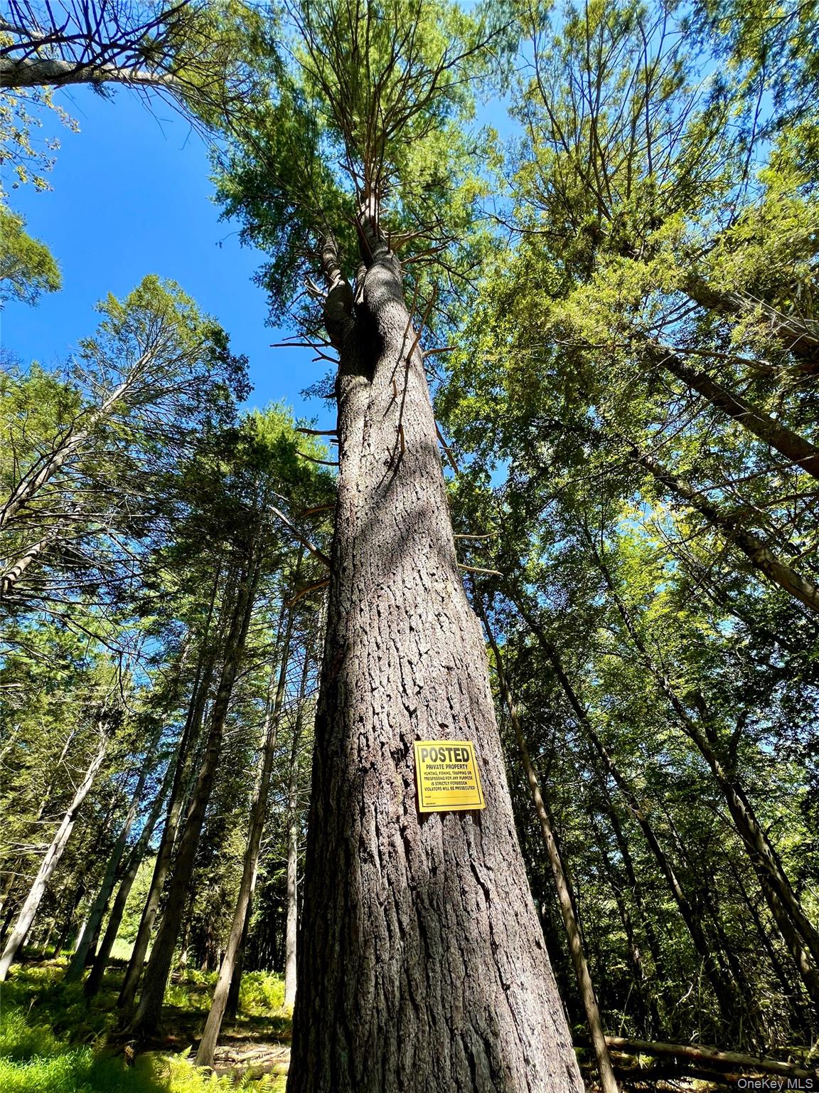 #9 photo, Swanerbury Road, Lumberland , NY 12737