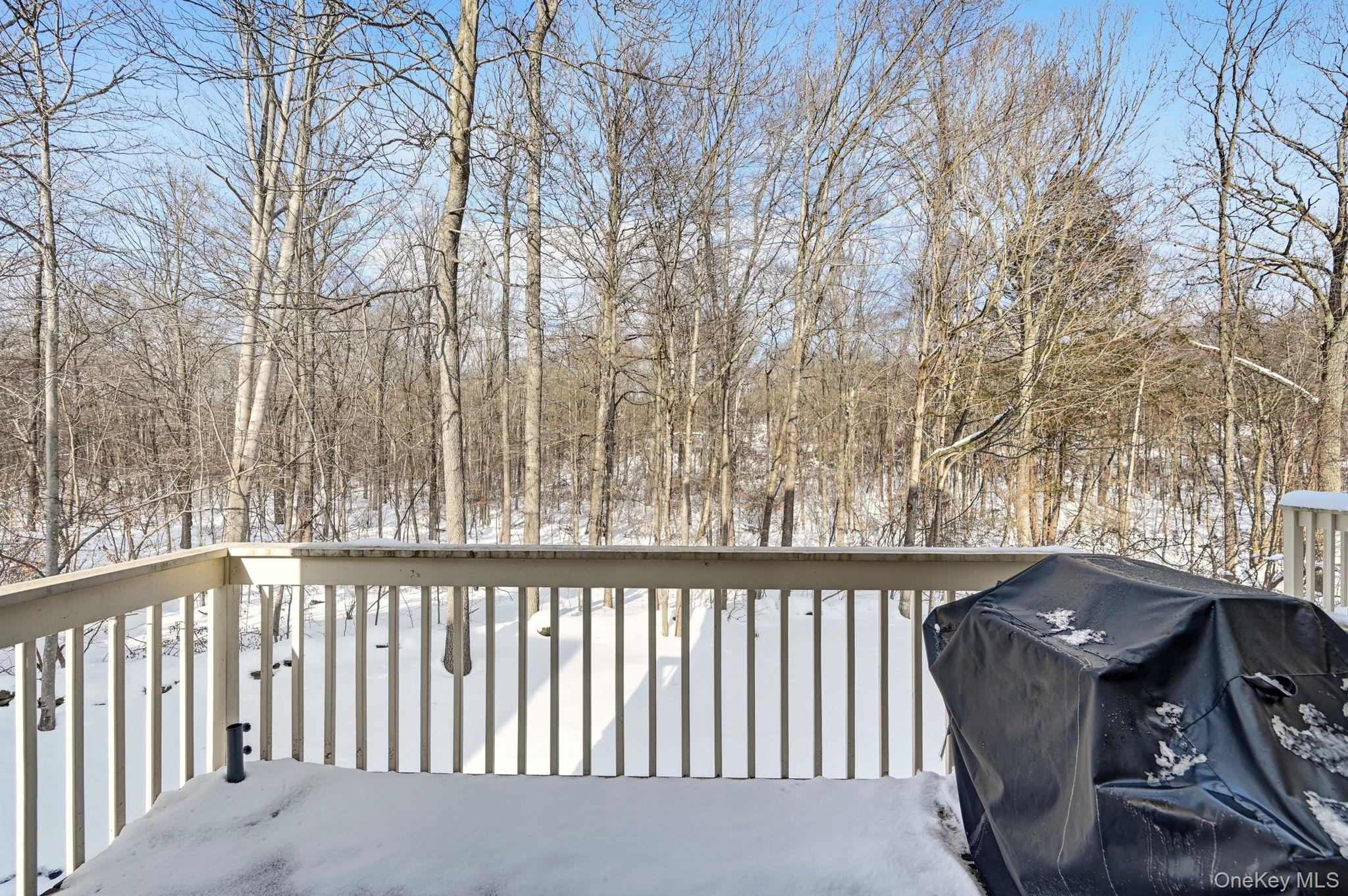 #10 photo, 4401 Hickory Hollow Lane, 뉴욕주 Carmel , NY 10512