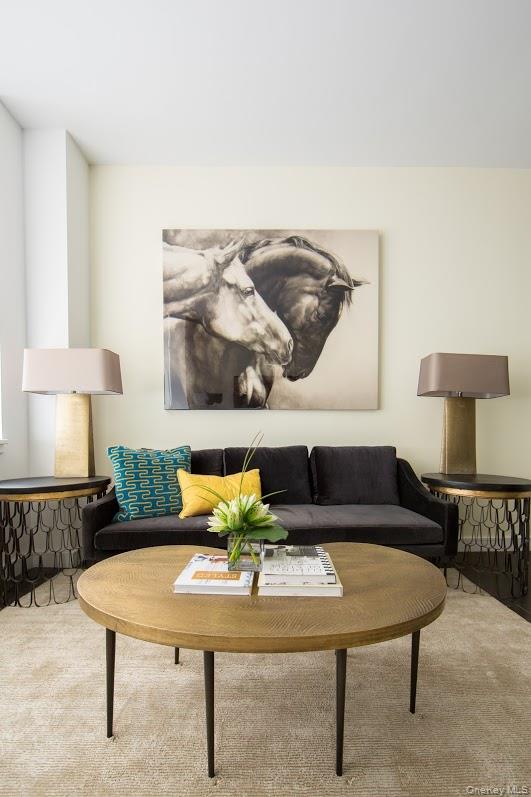 #20 photo, 1 Third, नासाउ काउंटी Mineola , NY 11501