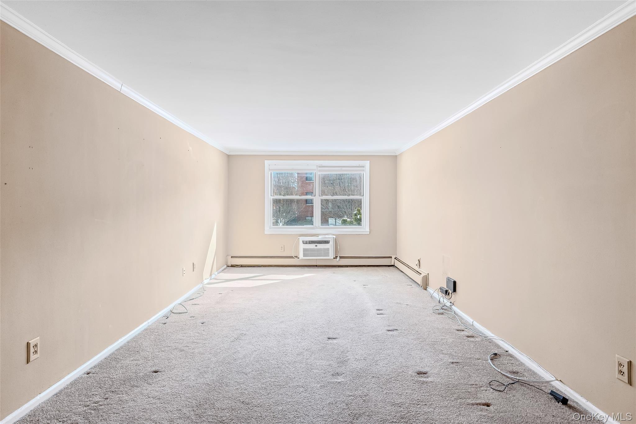 #14 photo, 124 South Park Ave, Нассау ‖ Rockville Centre , NY 11570