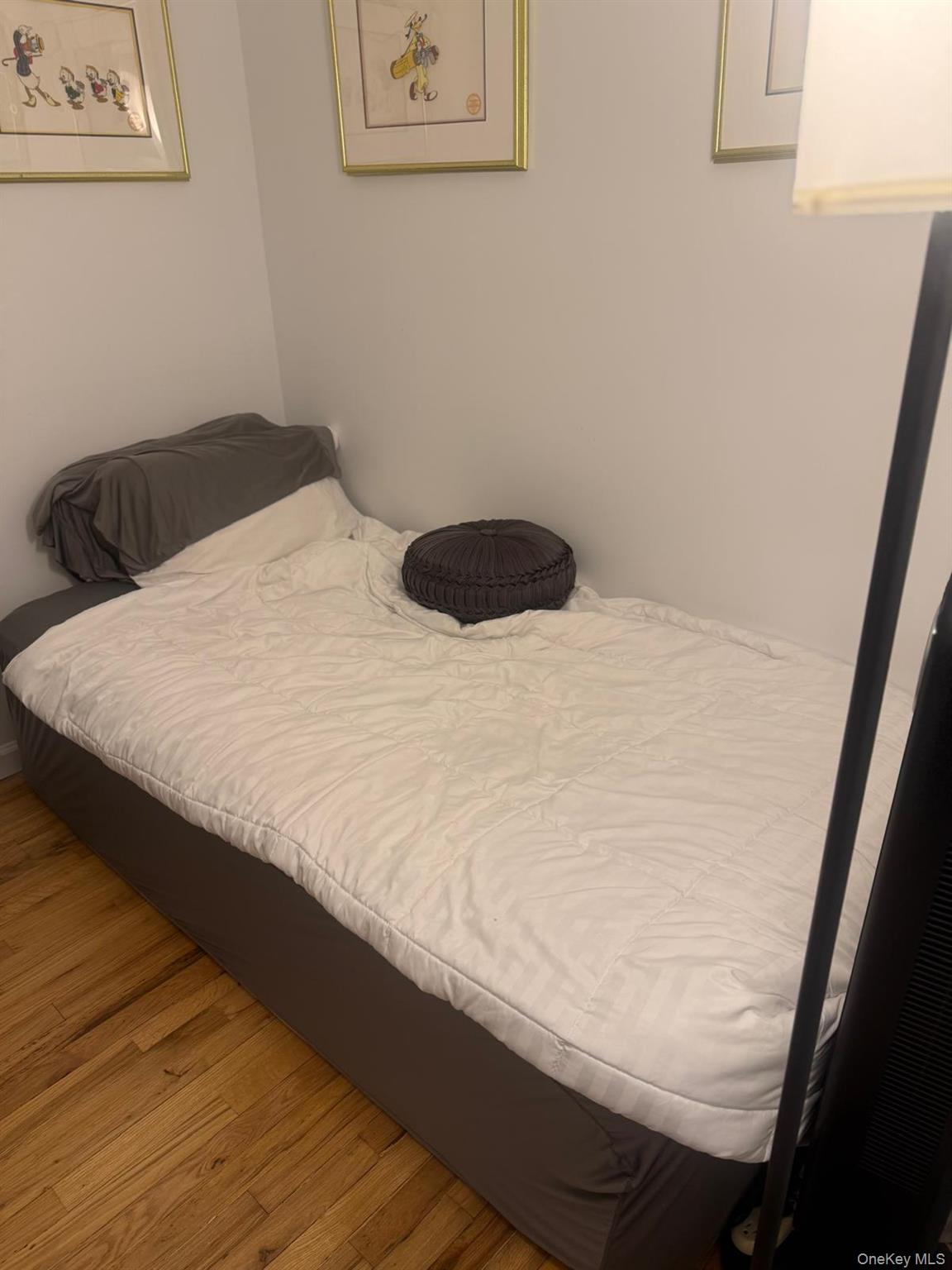 #19 photo, 601 Chestnut Street, Cedarhurst , NY 11516