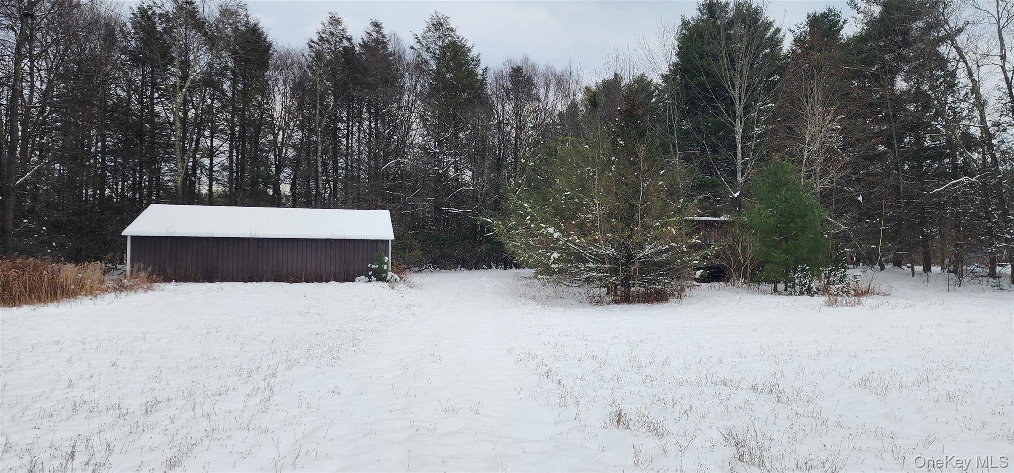 #1 photo, 20 Hasbrouck A Road, Loch Sheldrake , NY 12759