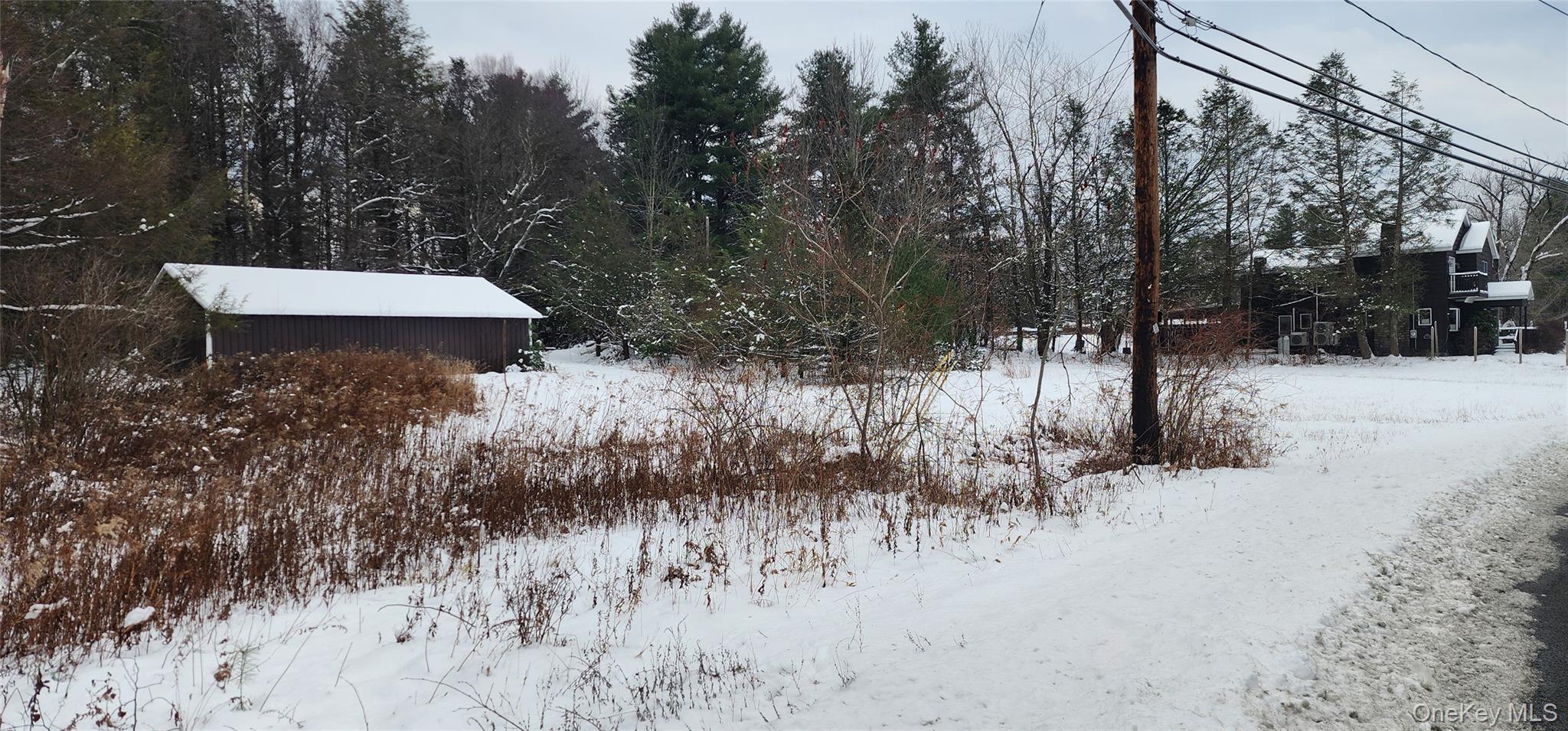 #2 photo, 20 Hasbrouck A Road, Loch Sheldrake , NY 12759