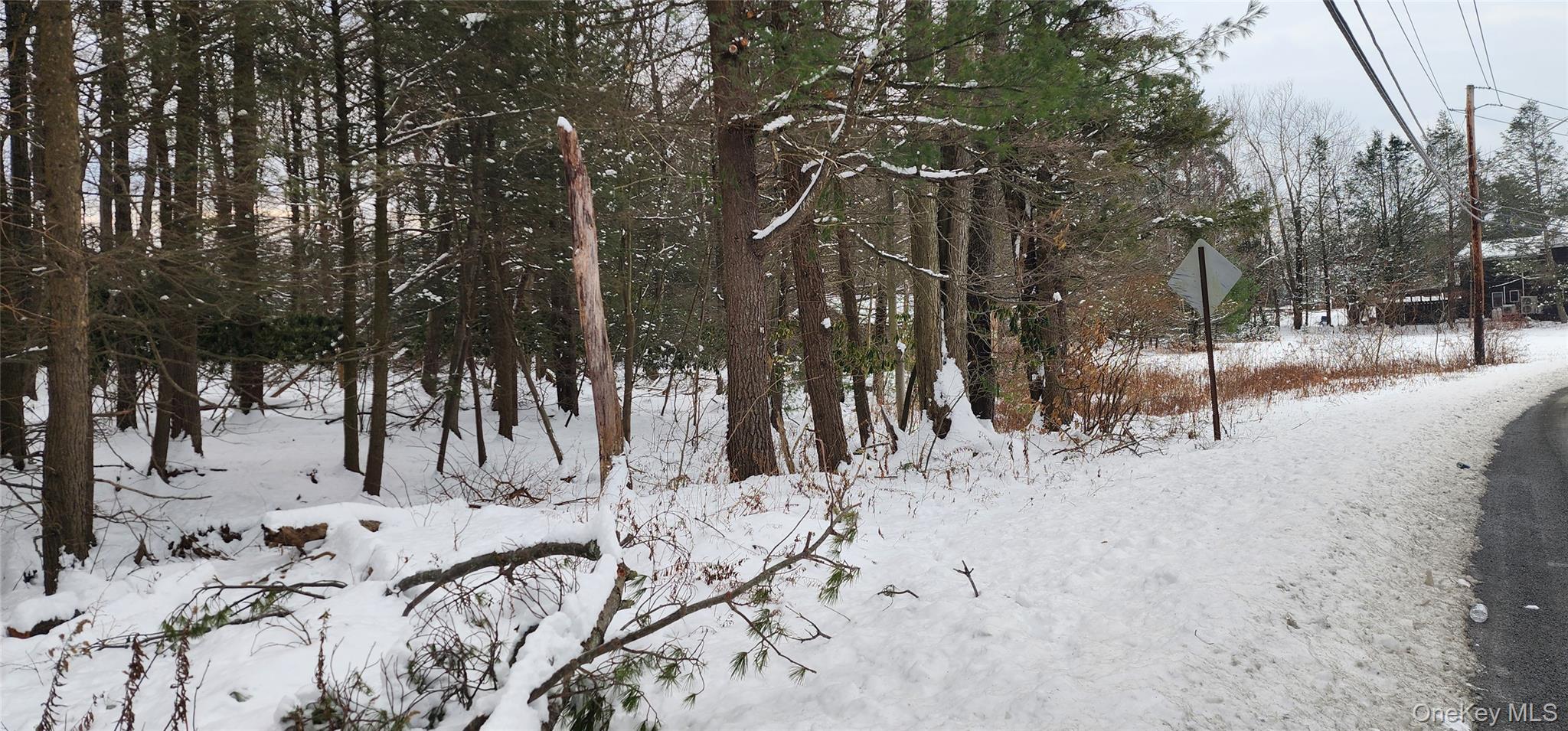 #3 photo, 20 Hasbrouck A Road, Loch Sheldrake , NY 12759