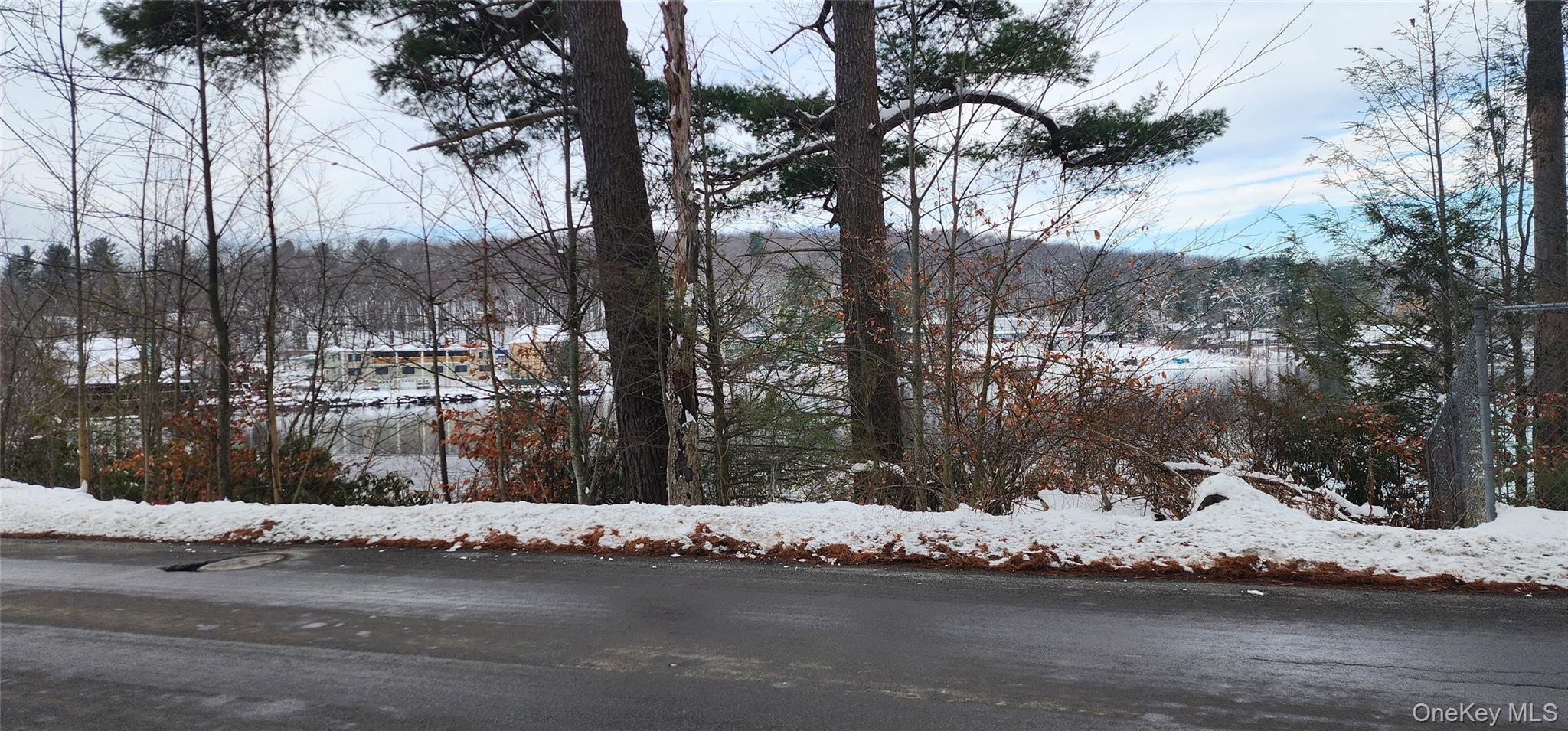 #4 photo, 20 Hasbrouck A Road, Loch Sheldrake , NY 12759