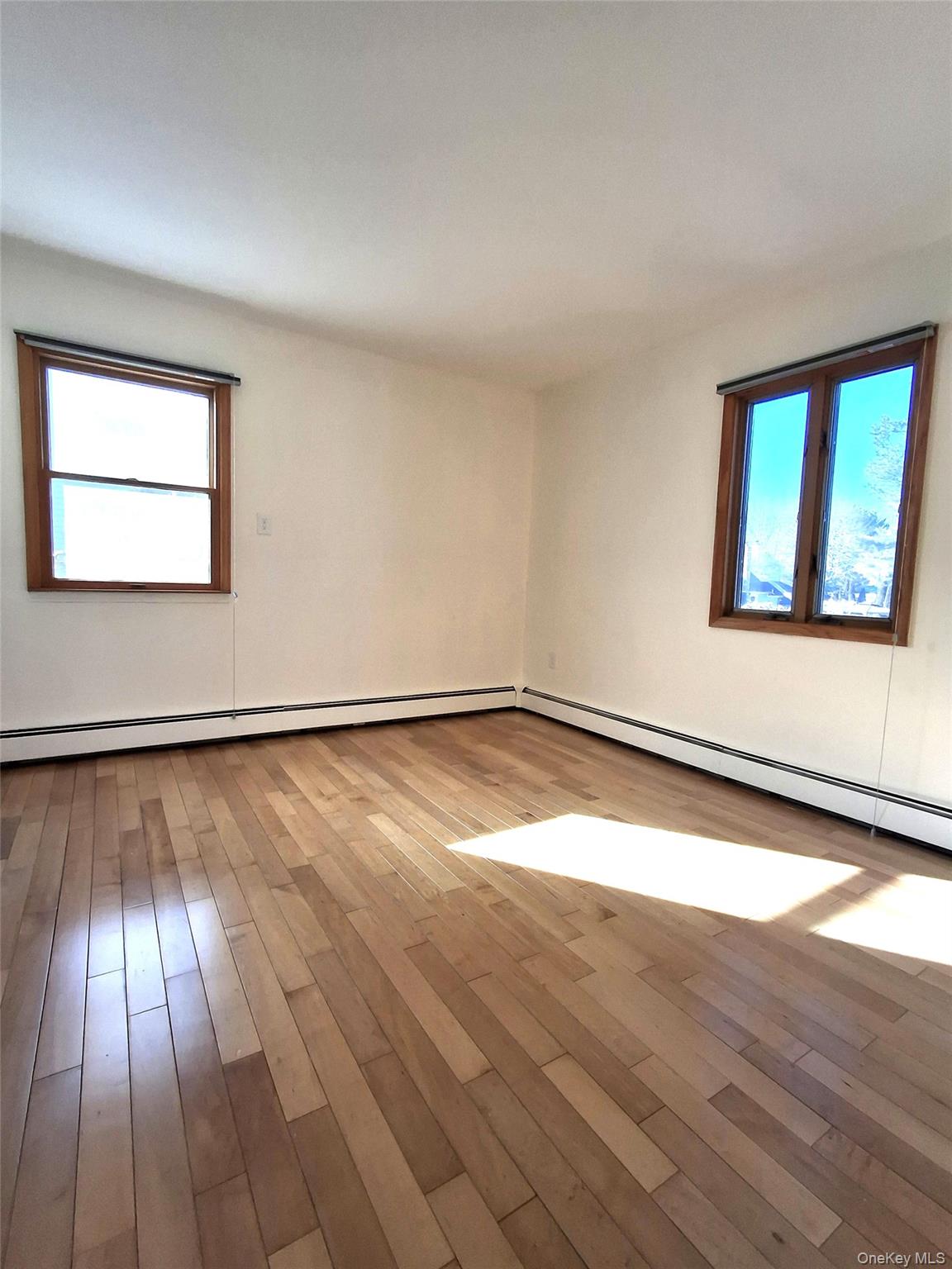 #16 photo, 342 Everard Street, 롱 아일랜드 Dix Hills , NY 11746