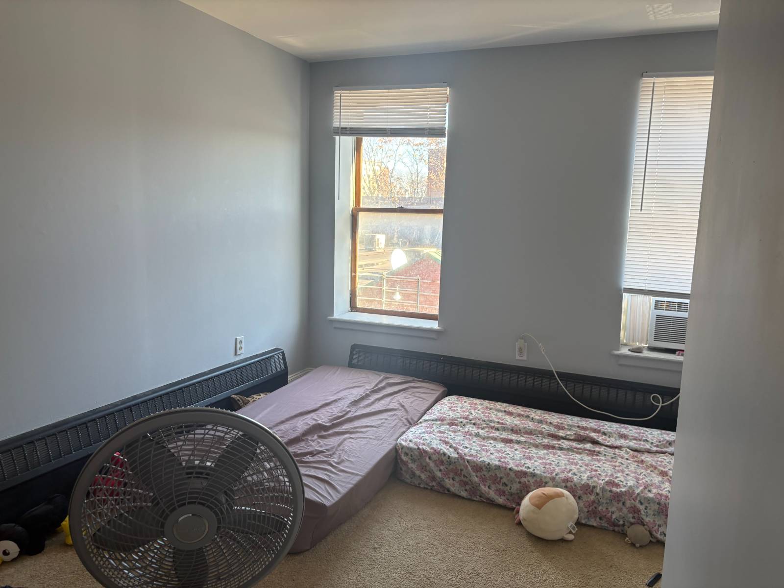 #11 photo, 347 South Pearl Street , #2nd floor, Albany , NY 12202