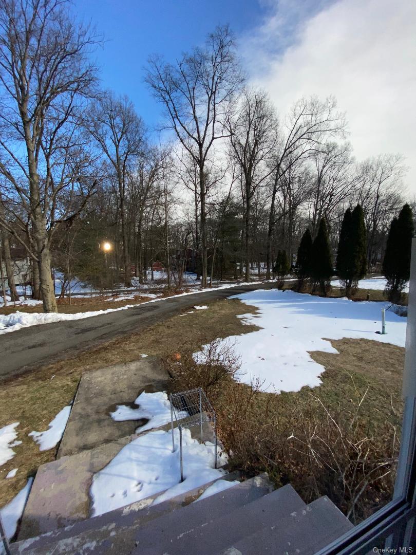 #15 photo, 56 Millspaugh Lane, Bardonia , NY 10954