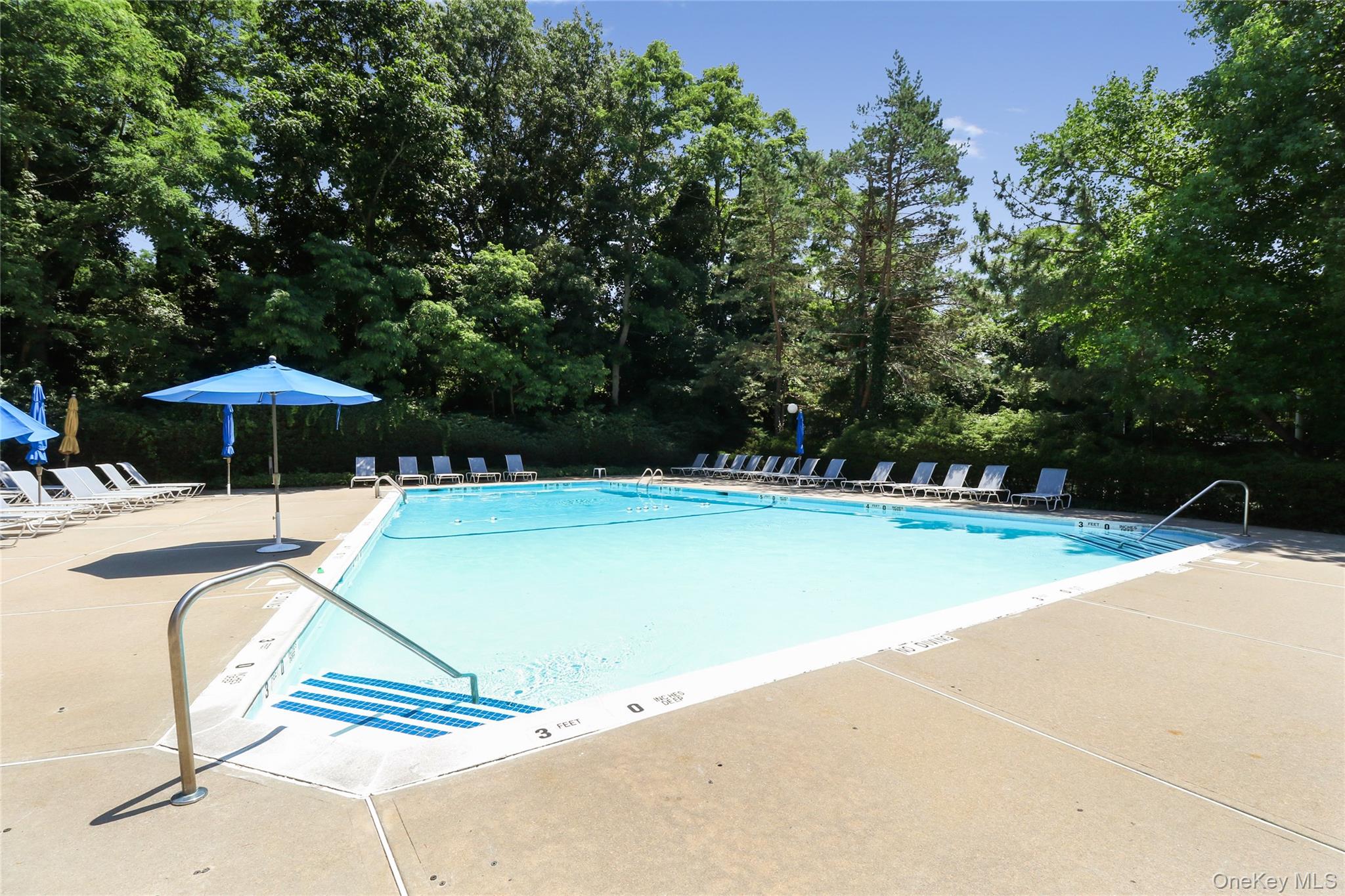 #20 photo, 109 Glen Way, Нассау ‖ Syosset , NY 11791