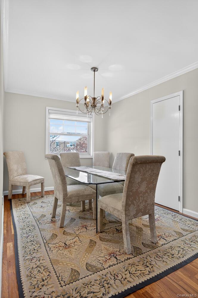 #10 photo, 6316 252nd Street, কুইন্‌স Little Neck , NY 11362