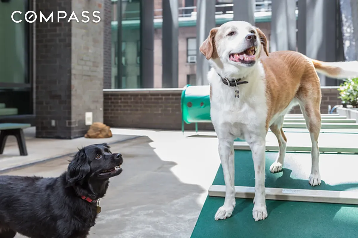 #14 photo, 15 William Street, Financial District , NY 10005