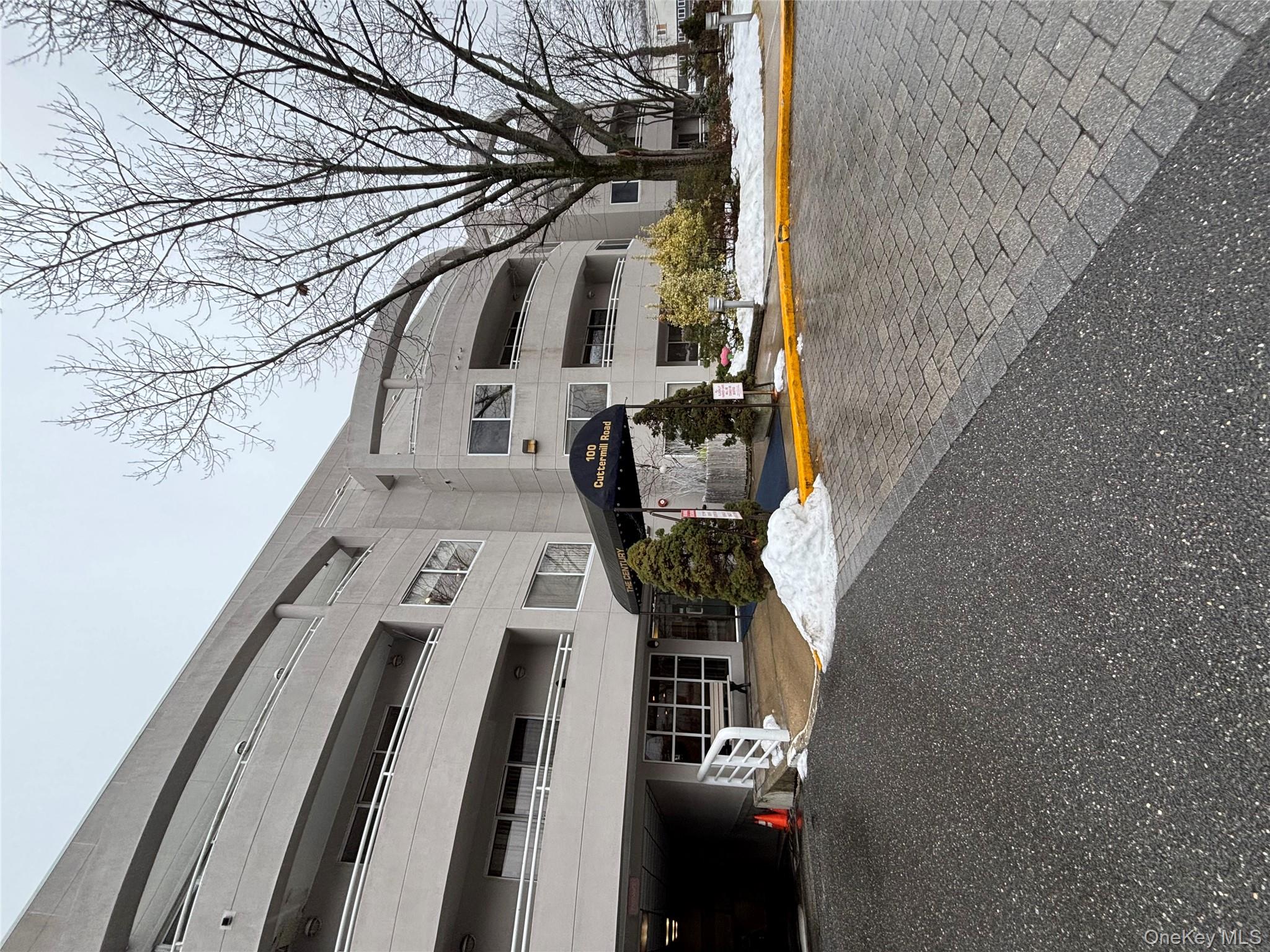 #1 photo, 100 Cuttermill Road, Great Neck , NY 11021