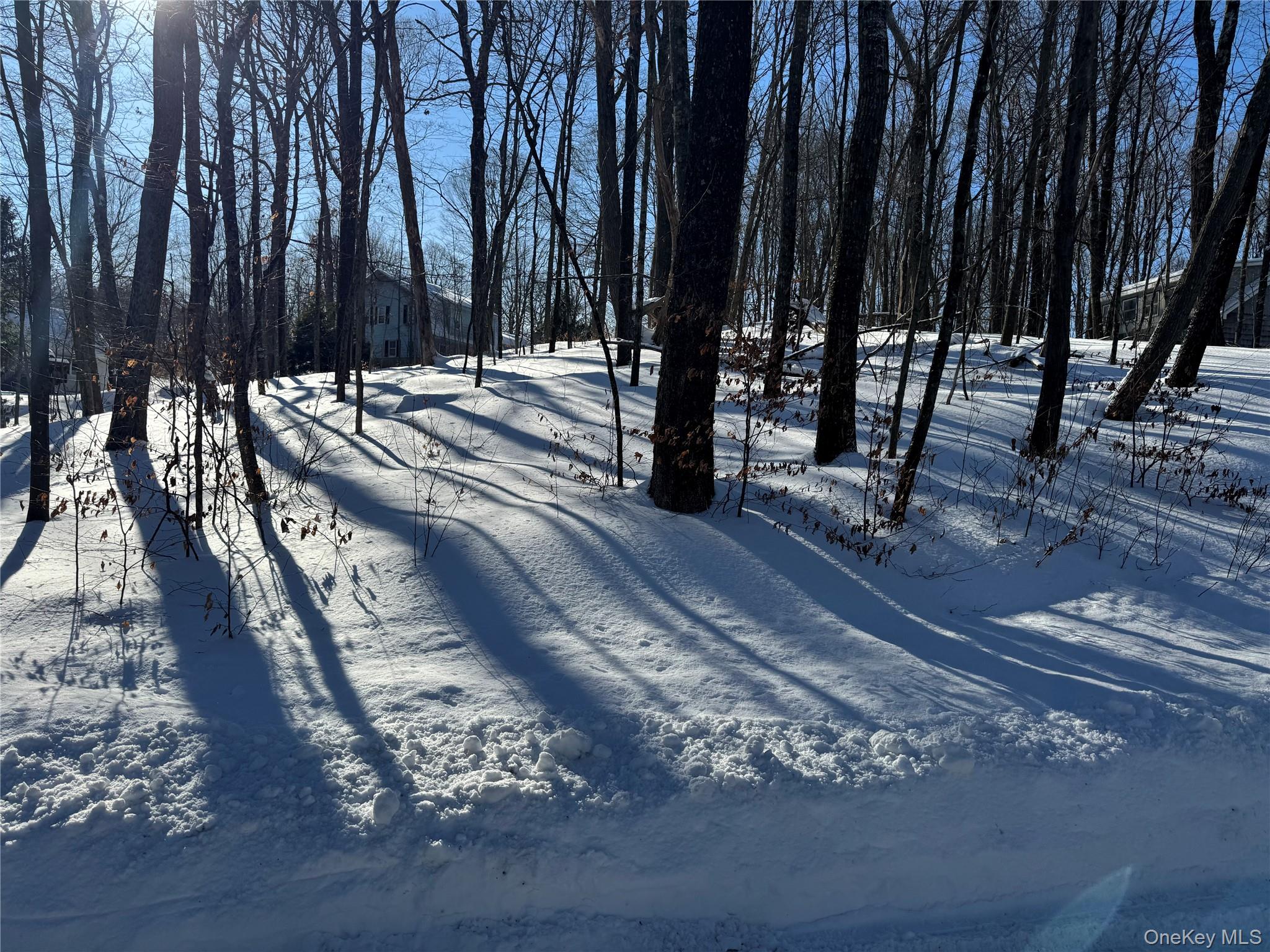 #5 photo, Lakeview Drive, Pawling , NY 12564