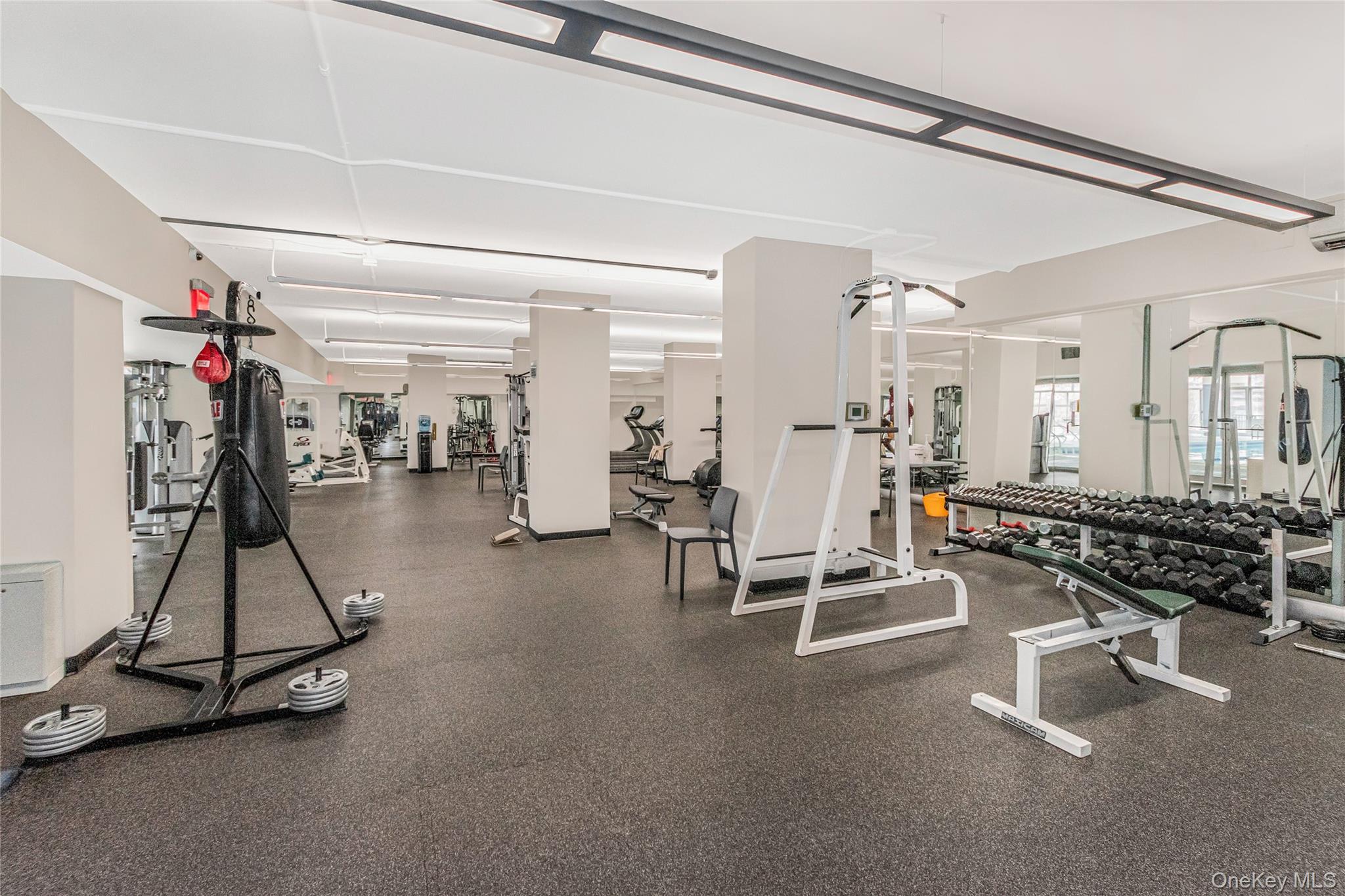 #11 photo, 2500 Johnson, 布朗士 Bronx , NY 10463