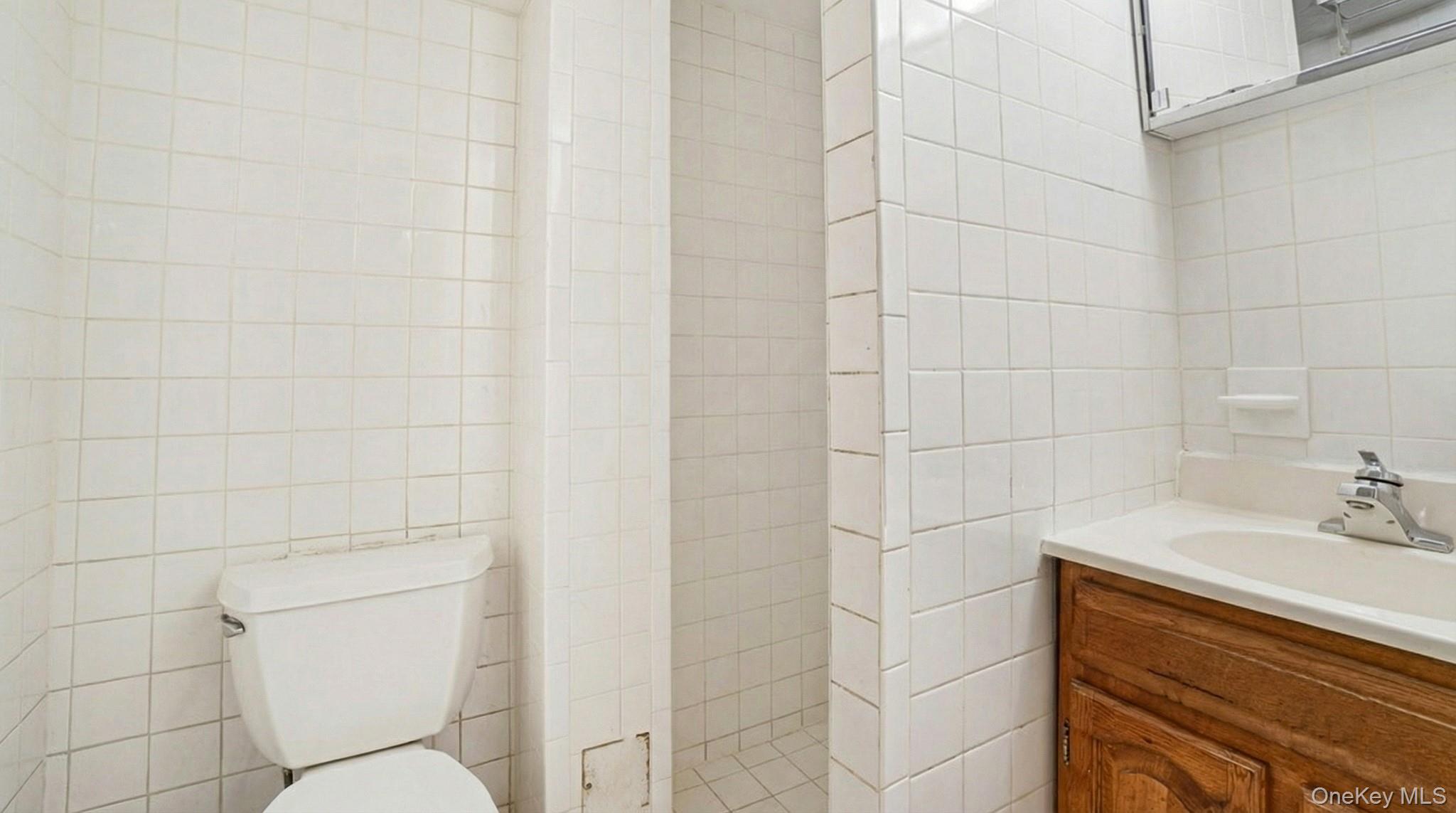 #19 photo, 100 Elizabeth Street, 롱 아일랜드 Floral Park , NY 11001