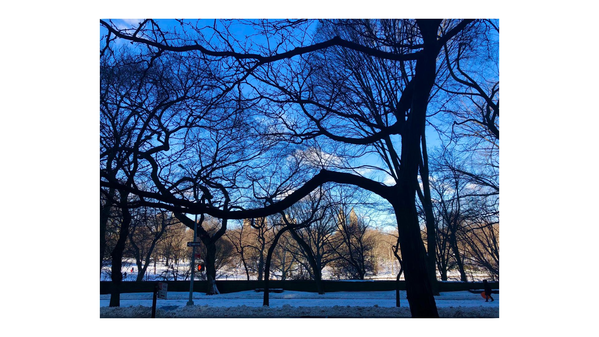 #14 photo, 923 5TH Avenue, Lenox Hill , NY 10021