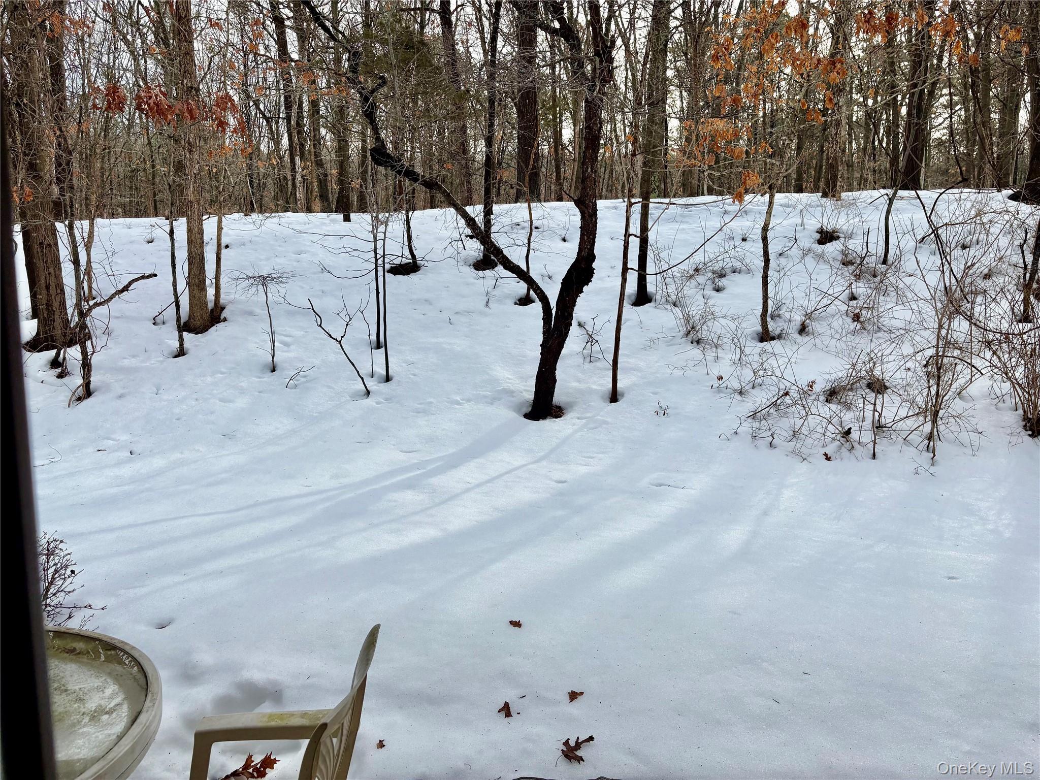 #18 photo, 9 Willow Ct, Selden , NY 11784