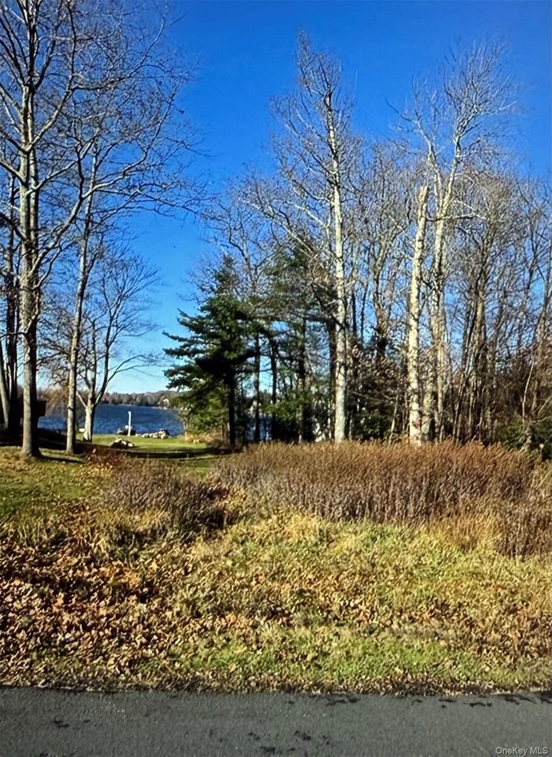 #3 photo, Lake Shore Drive, Rock Hill , NY 12775