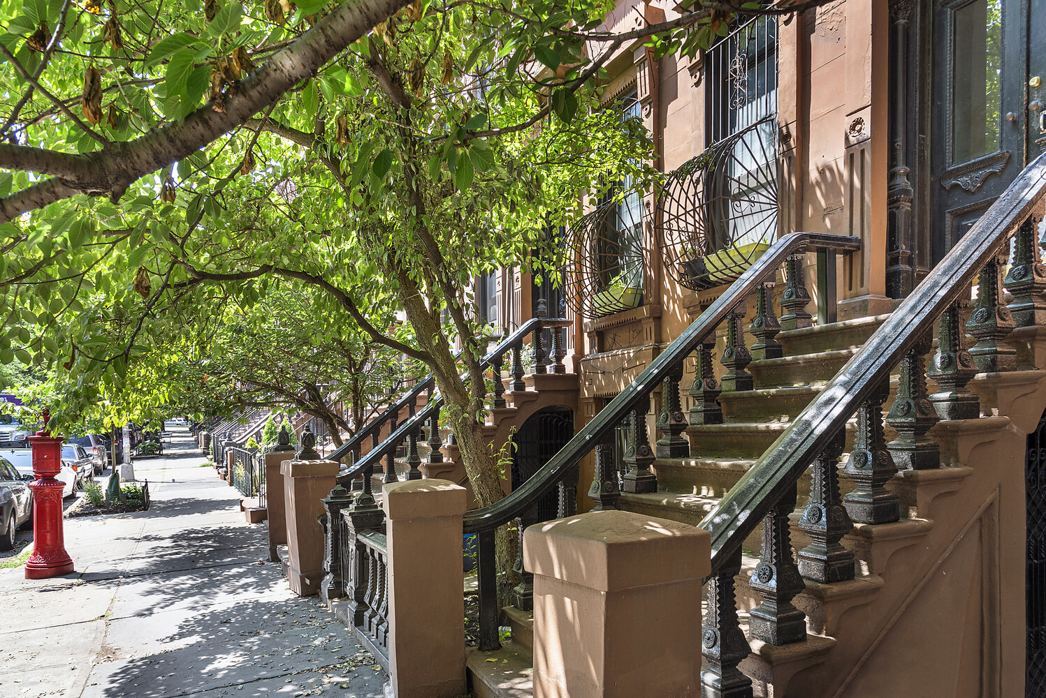 #8 photo, Brooklyn, Clinton Hill , NY 11238