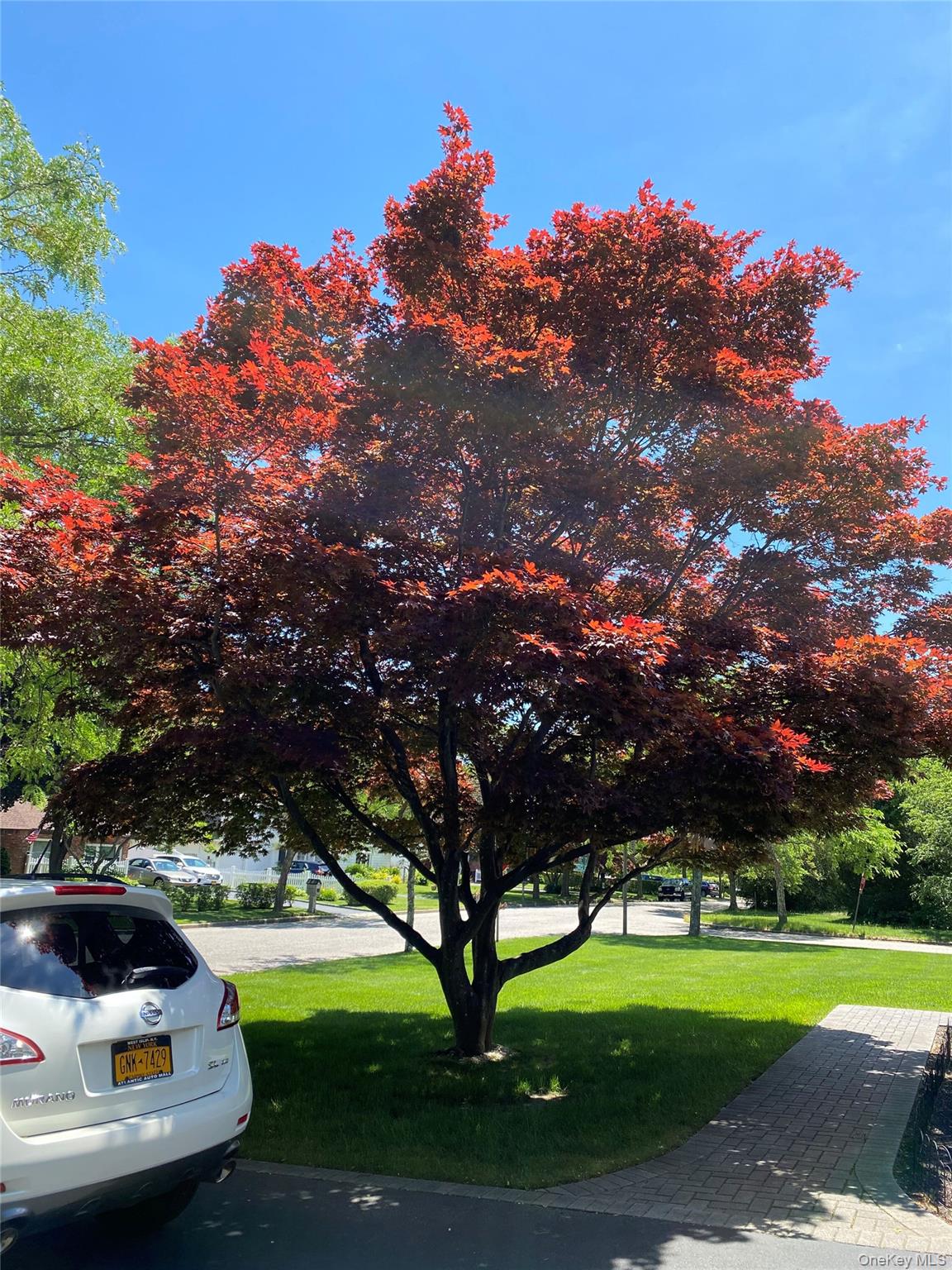 #15 photo, 69 Meyer Lane, 东长岛 Medford , NY 11763