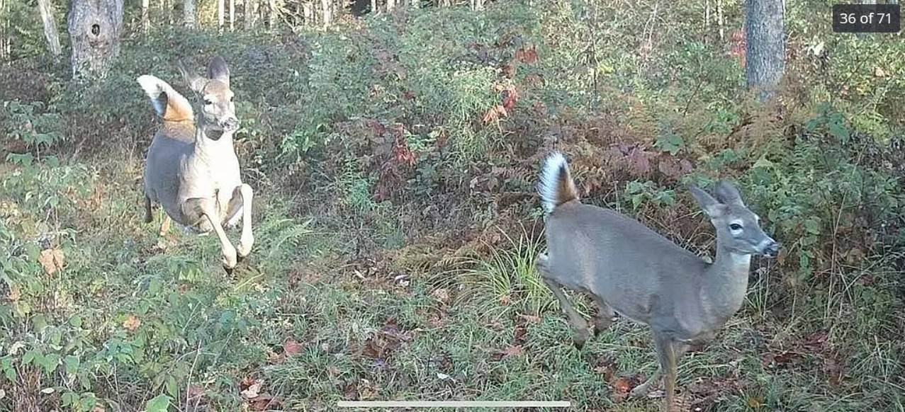 #33 photo, 161 RIDGE RD., SOUTH OTSELIC , NY 13155