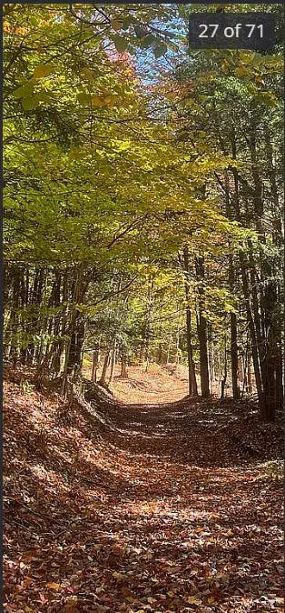 #42 photo, 161 RIDGE RD., SOUTH OTSELIC , NY 13155